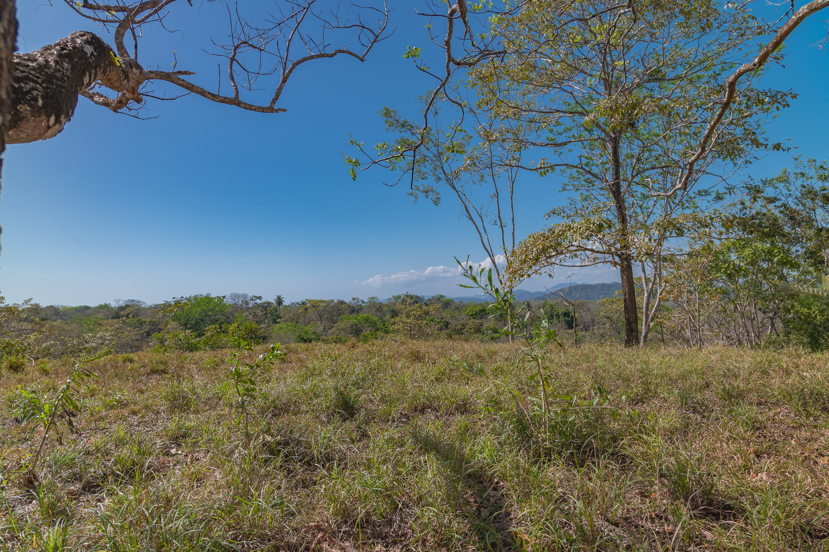 0 bed Land For Sale in Manzanillo, Puntarenas - thumb 3