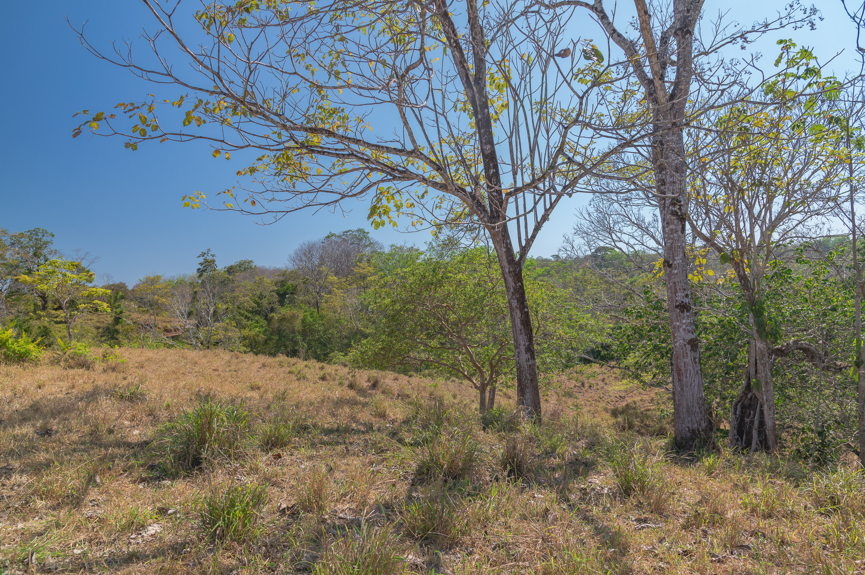 0 bed Land For Sale in Manzanillo, Puntarenas - thumb 11