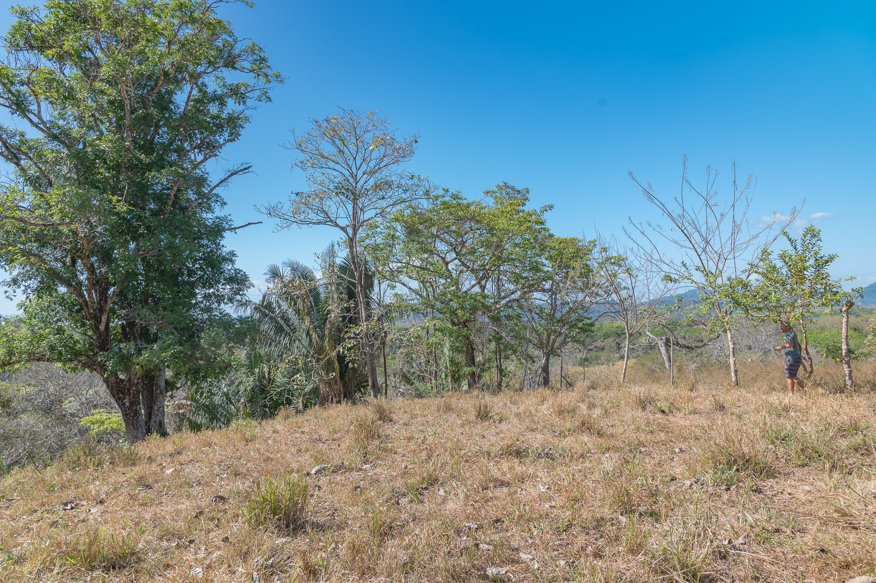 0 bed Land For Sale in Manzanillo, Puntarenas - thumb 9