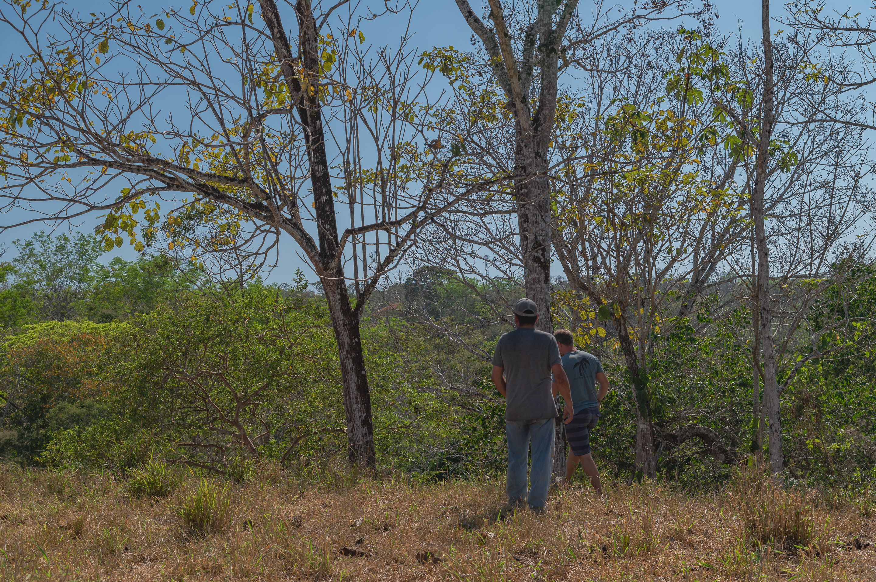 0 bed Land For Sale in Manzanillo, Puntarenas - thumb 13