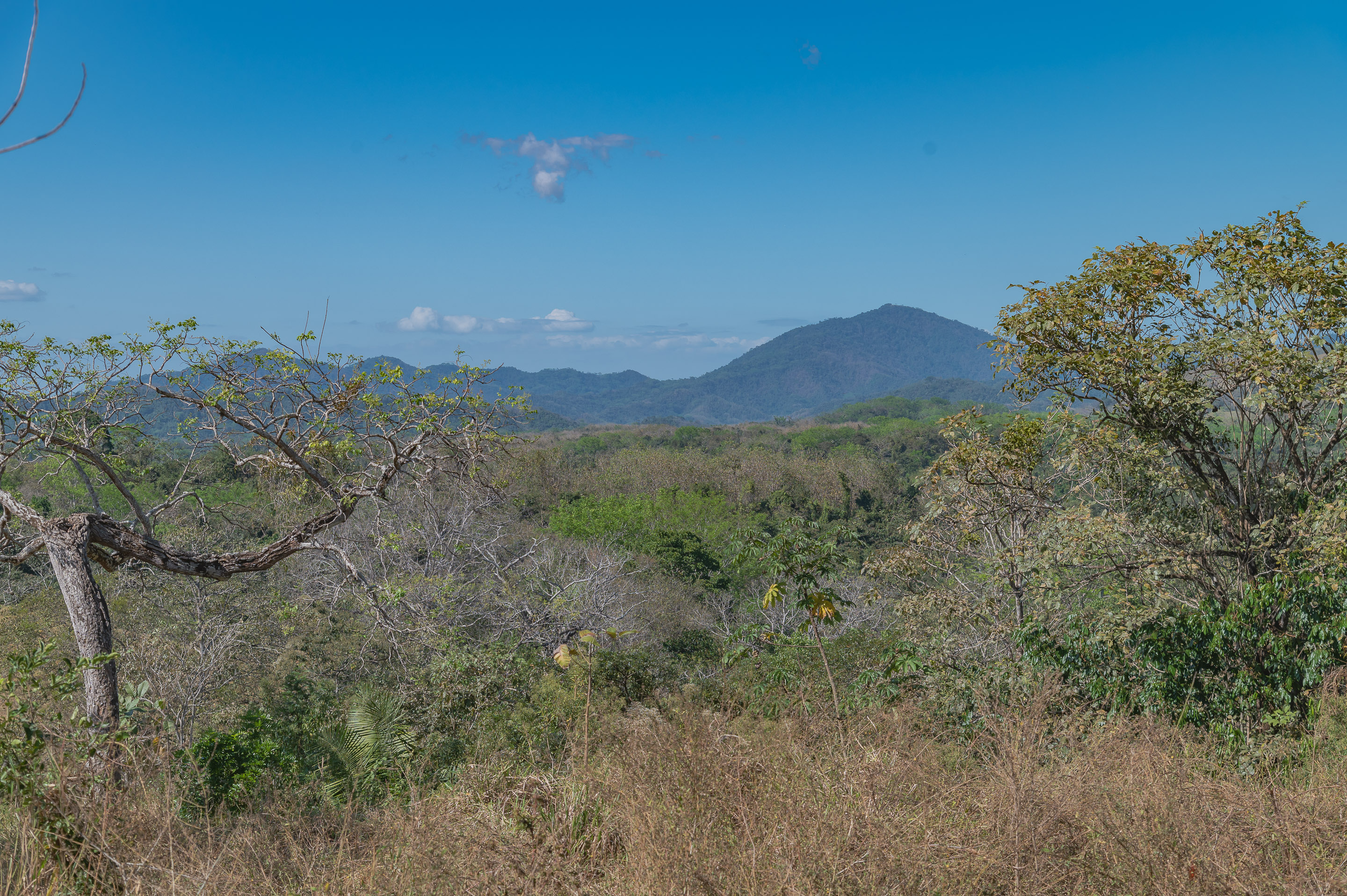 0 bed Land For Sale in Manzanillo, Puntarenas - thumb 12
