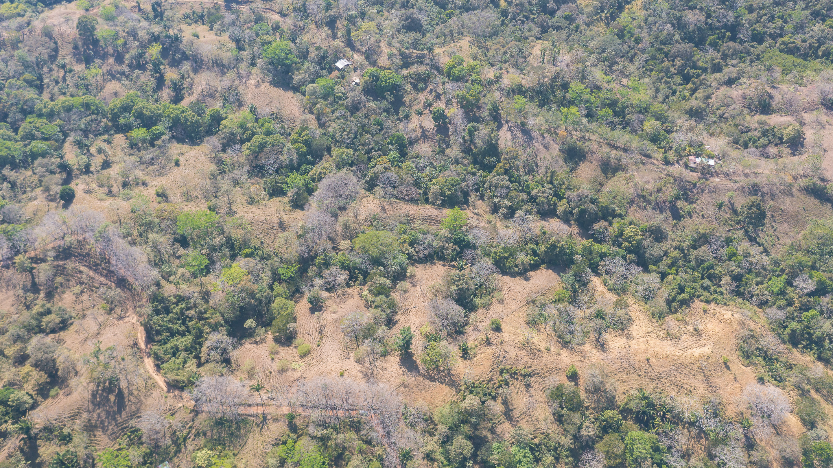 0 bed Land For Sale in Manzanillo, Puntarenas - thumb 19