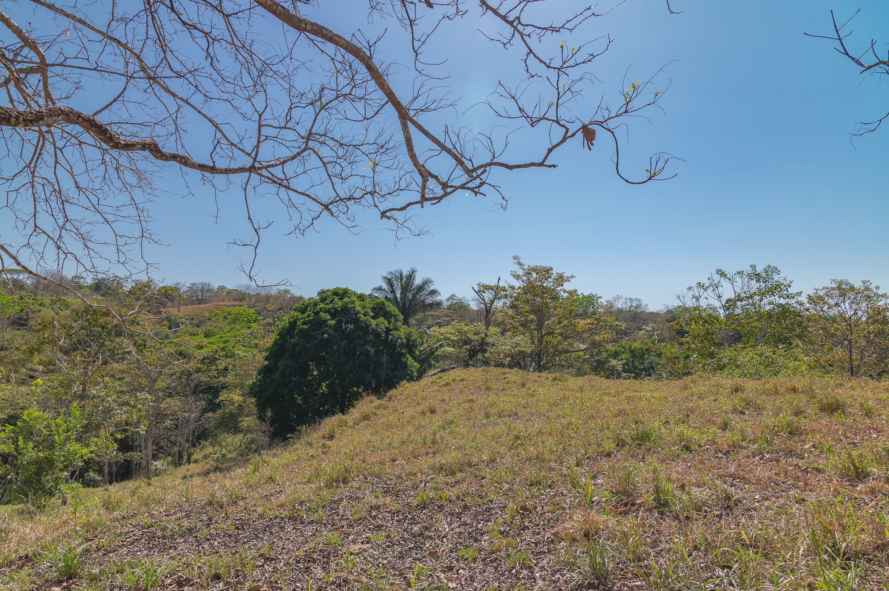 0 bed Land For Sale in Manzanillo, Puntarenas - thumb 1
