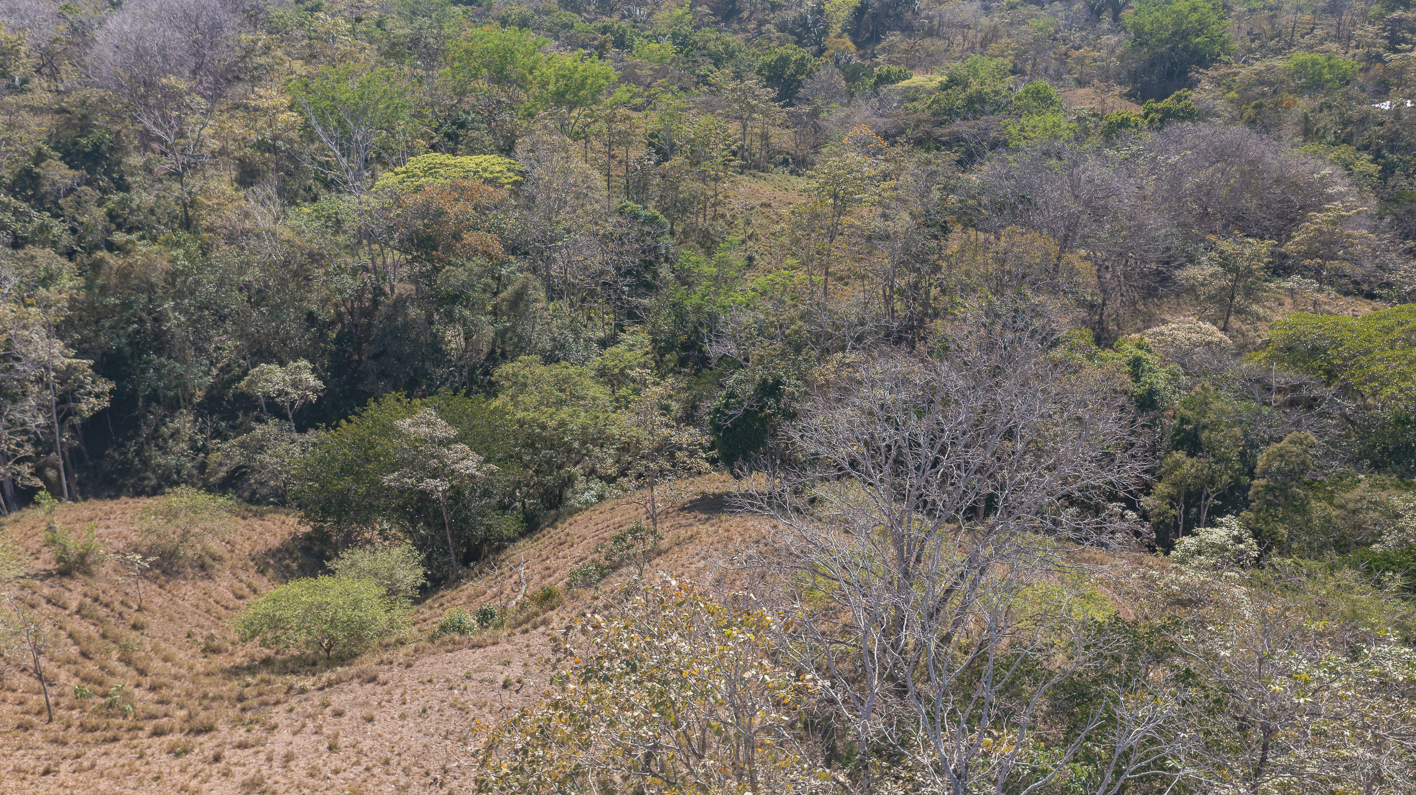 0 bed Land For Sale in Manzanillo, Puntarenas - thumb 16