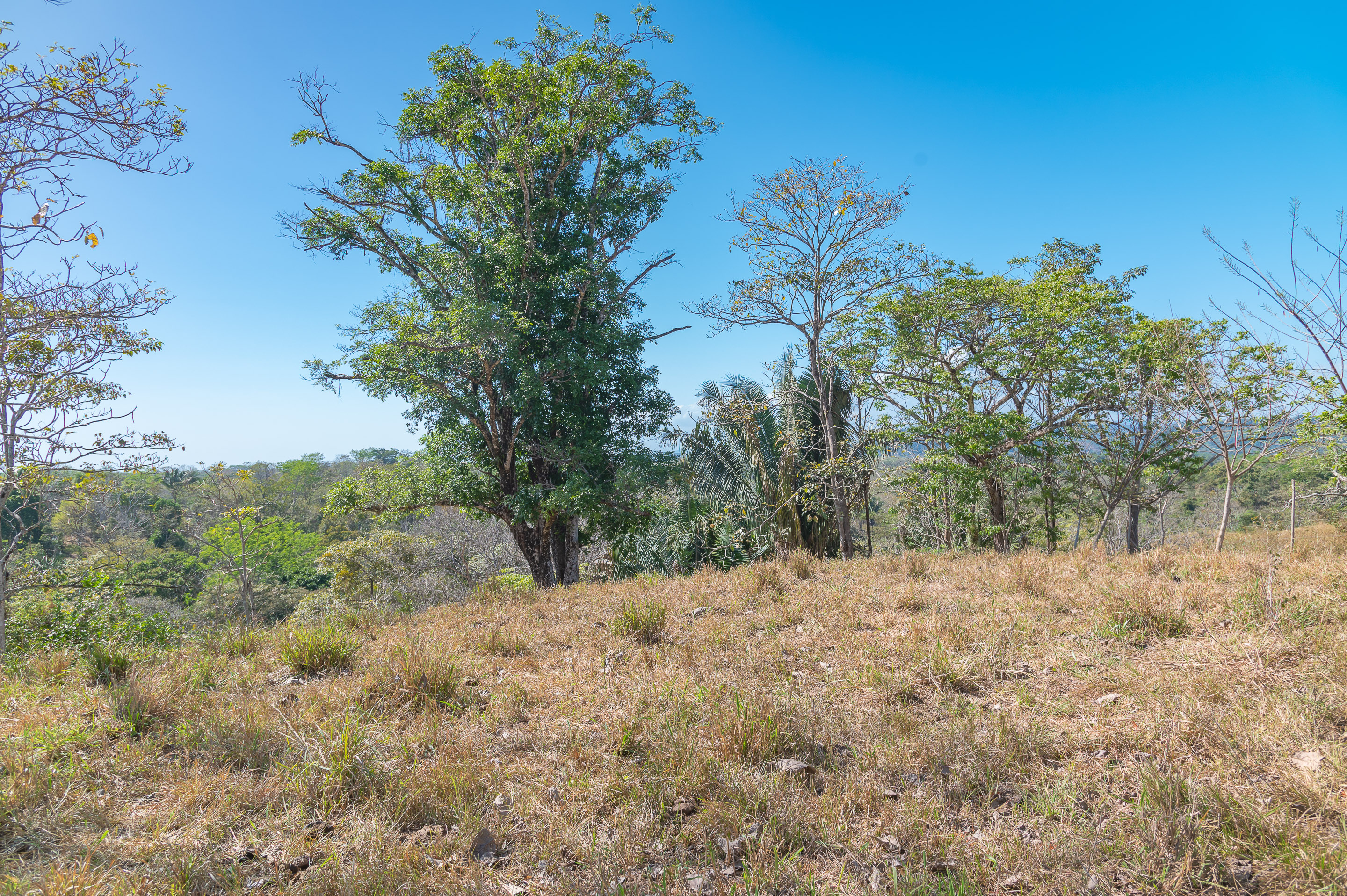 0 bed Land For Sale in Manzanillo, Puntarenas - thumb 5