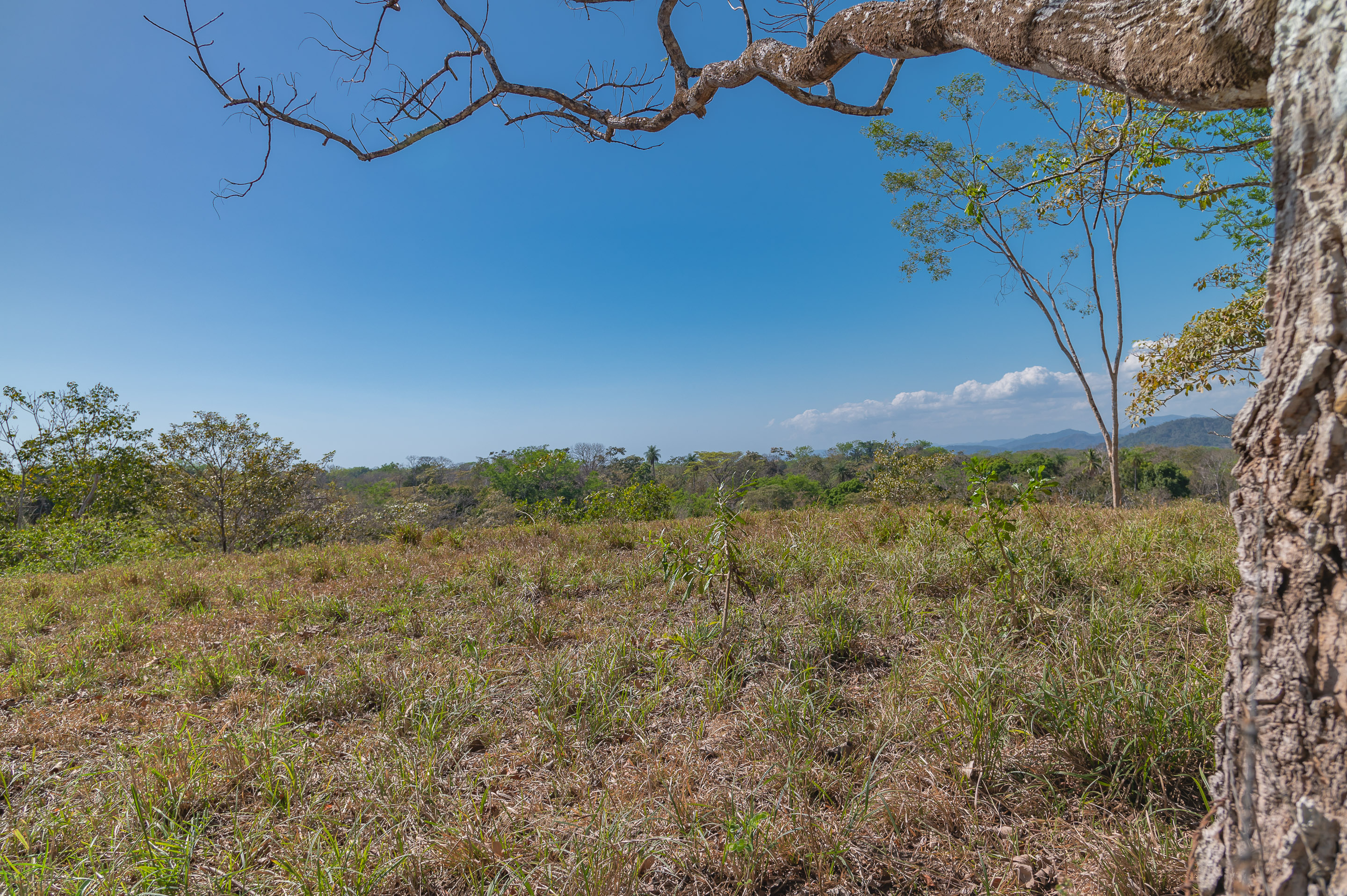 0 bed Land For Sale in Manzanillo, Puntarenas - thumb 2