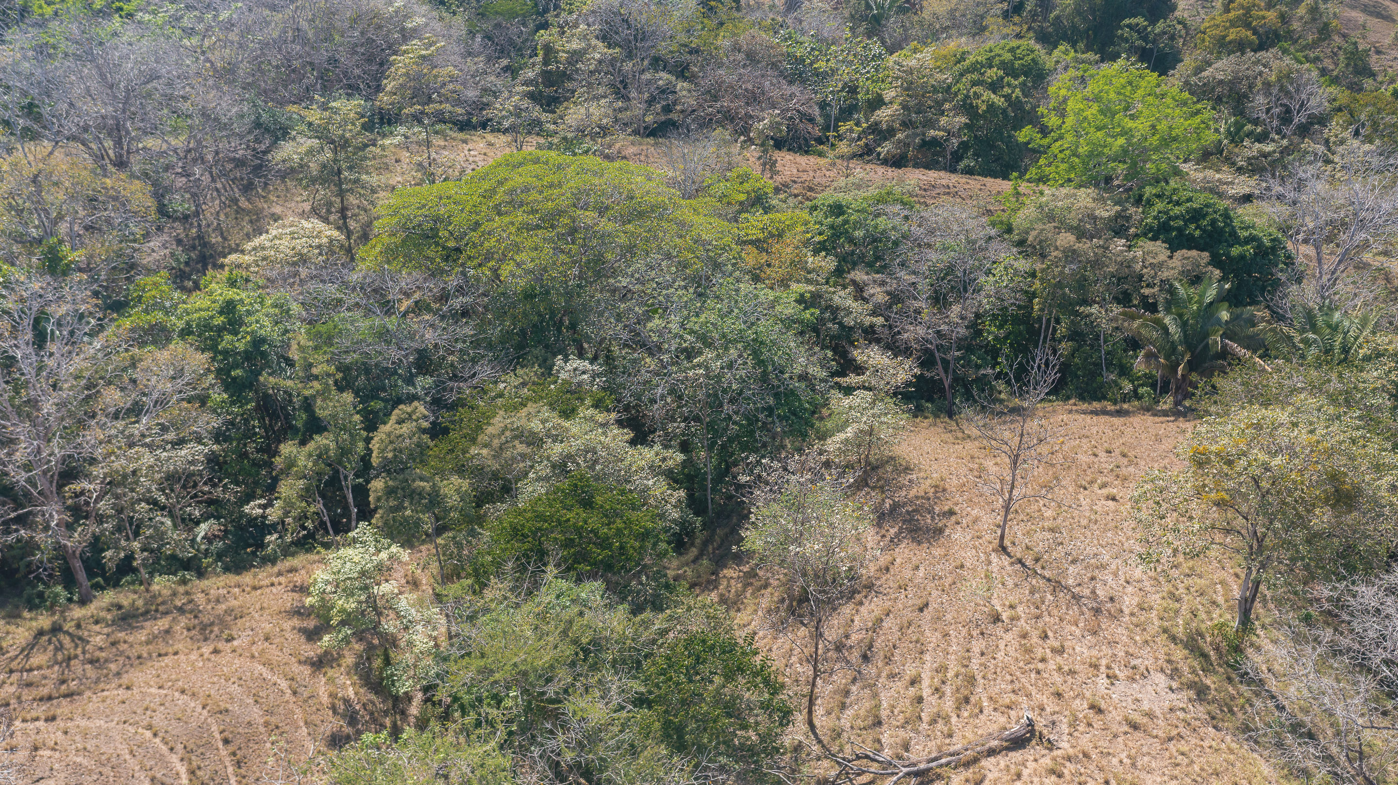 0 bed Land For Sale in Manzanillo, Puntarenas - thumb 17