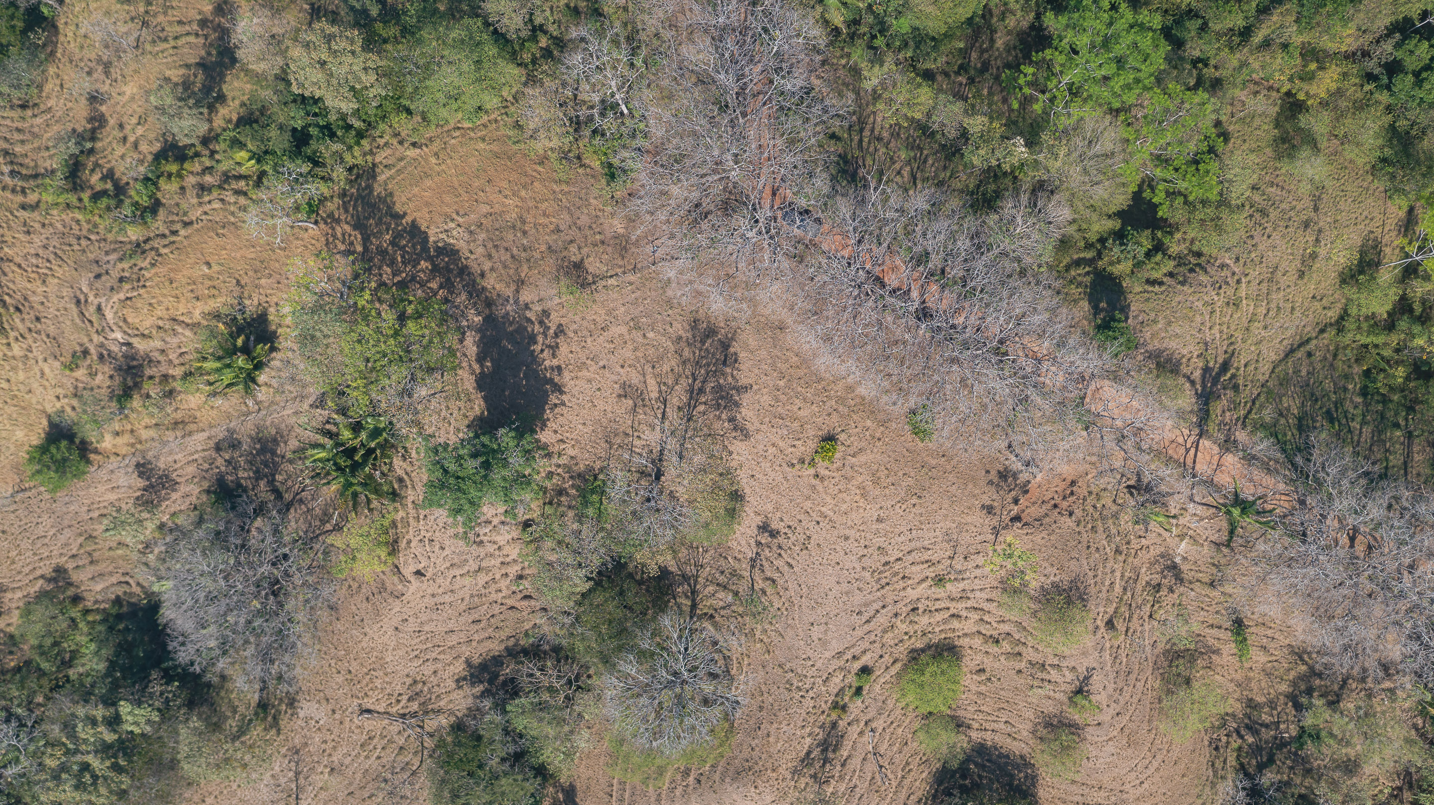 0 bed Land For Sale in Manzanillo, Puntarenas - thumb 22