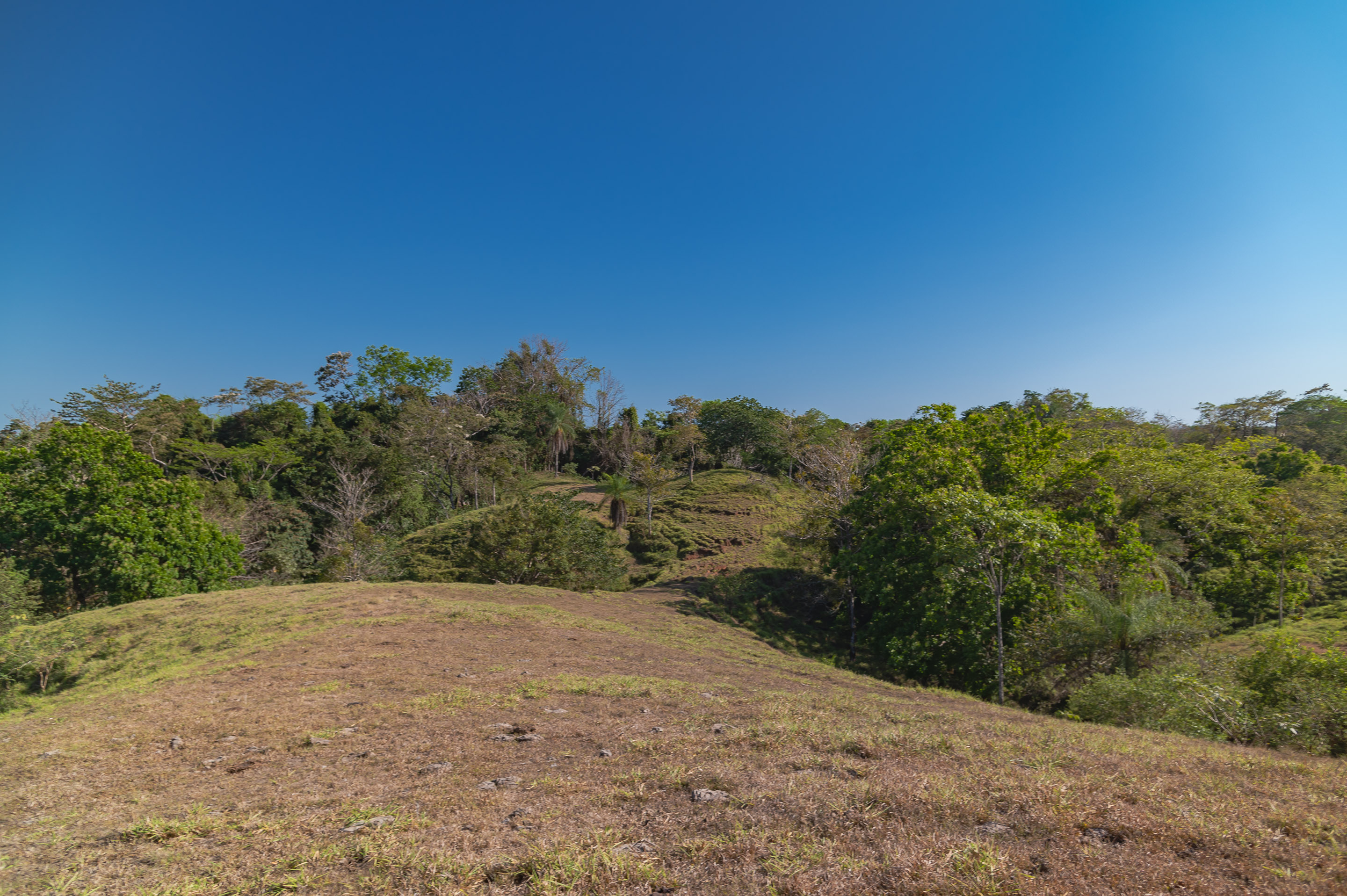 0 bed Land For Sale in Manzanillo, Puntarenas - thumb 15