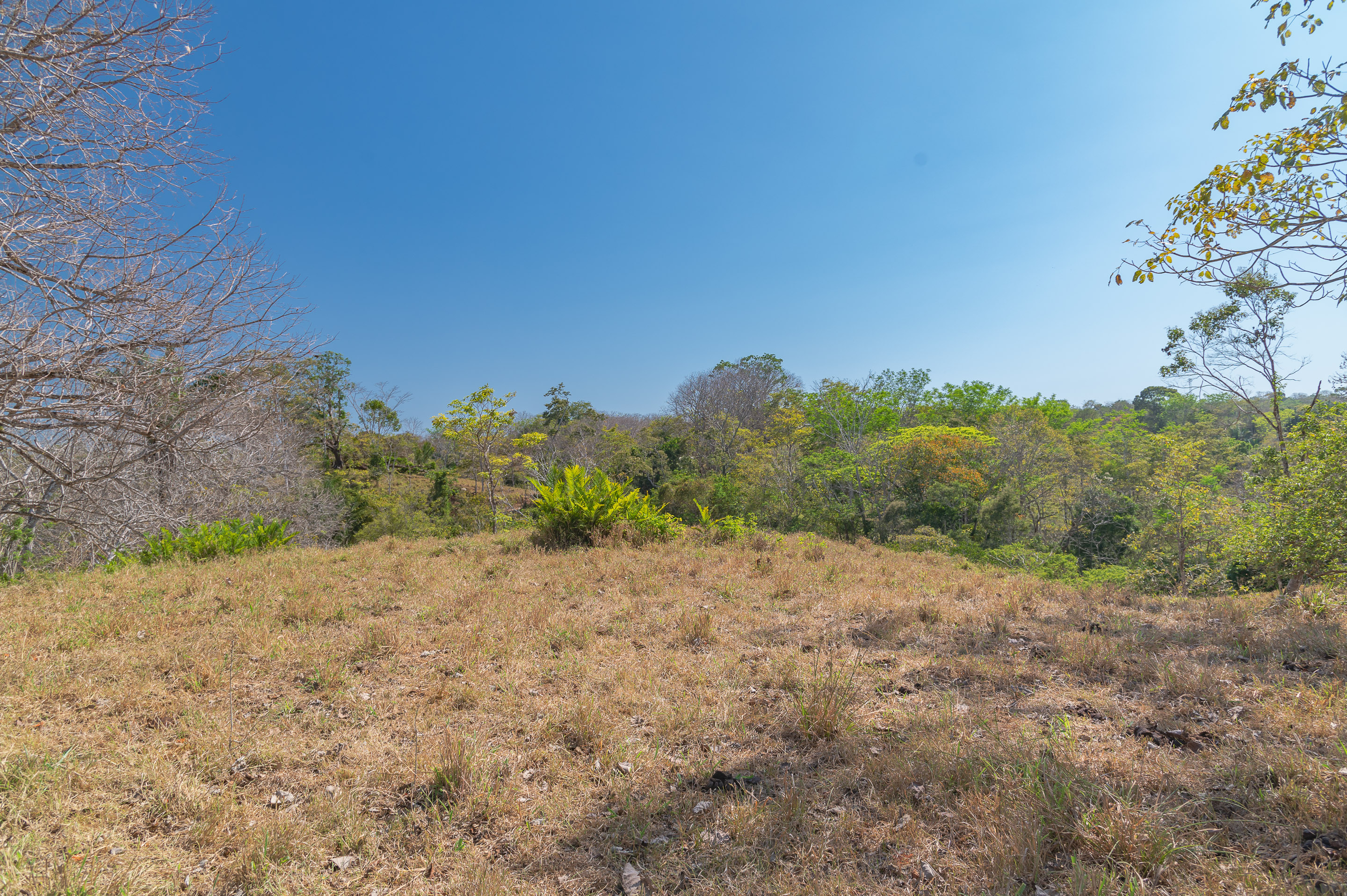 0 bed Land For Sale in Manzanillo, Puntarenas - thumb 6