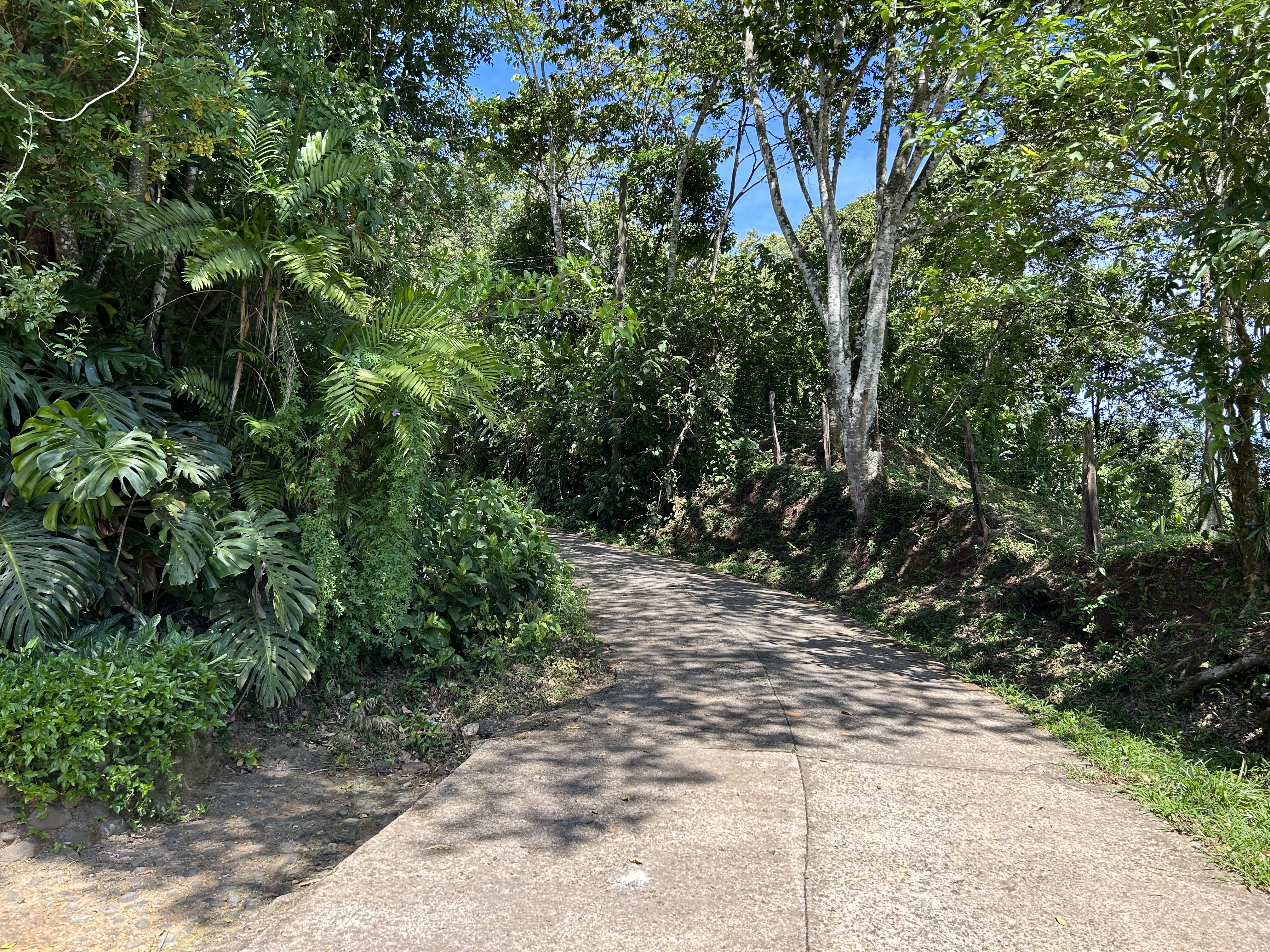 3 bed Single Family Homes For Sale in Alajuela, Alajuela - thumb 3