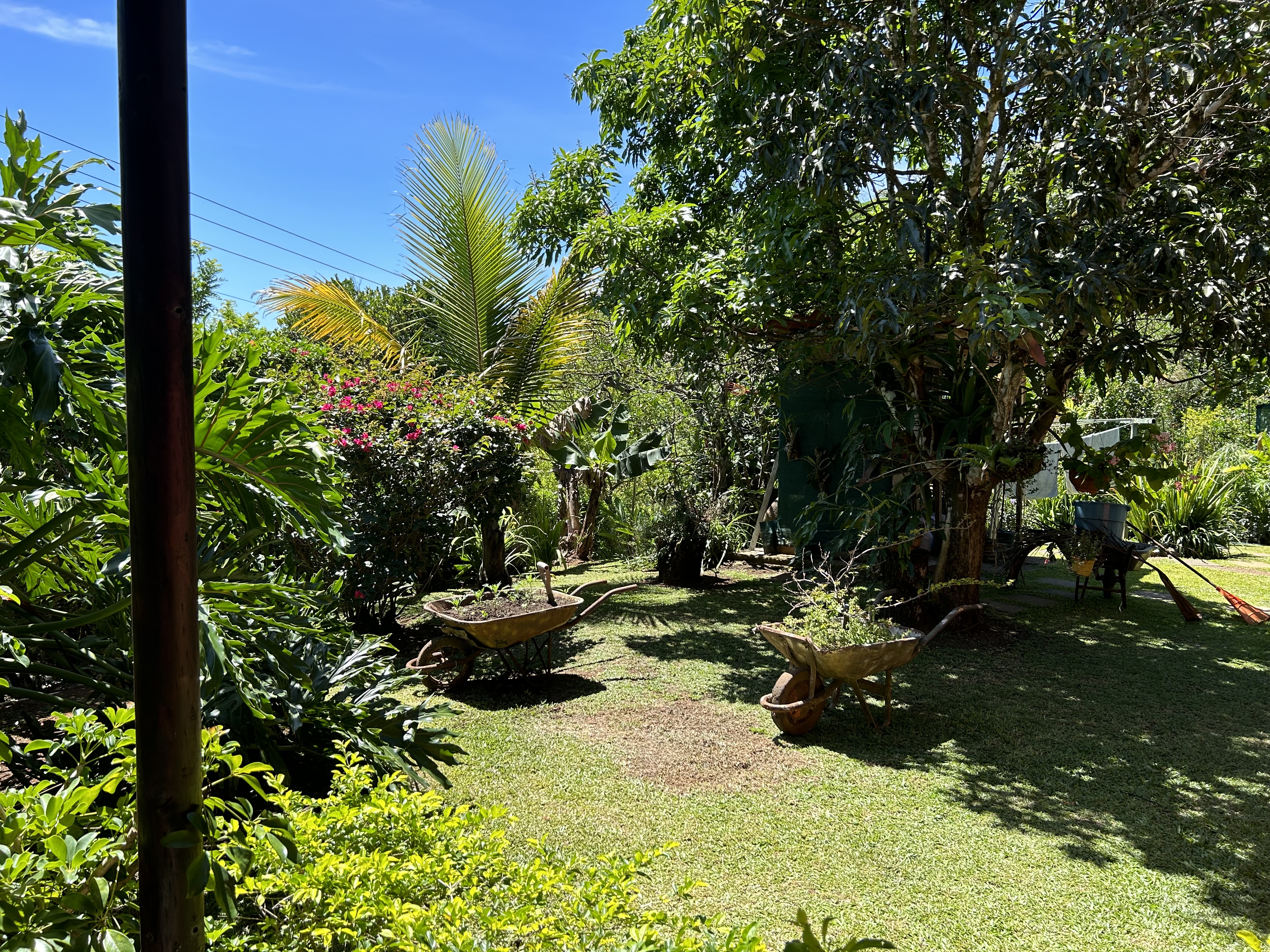 3 bed Single Family Homes For Sale in Alajuela, Alajuela - thumb 5