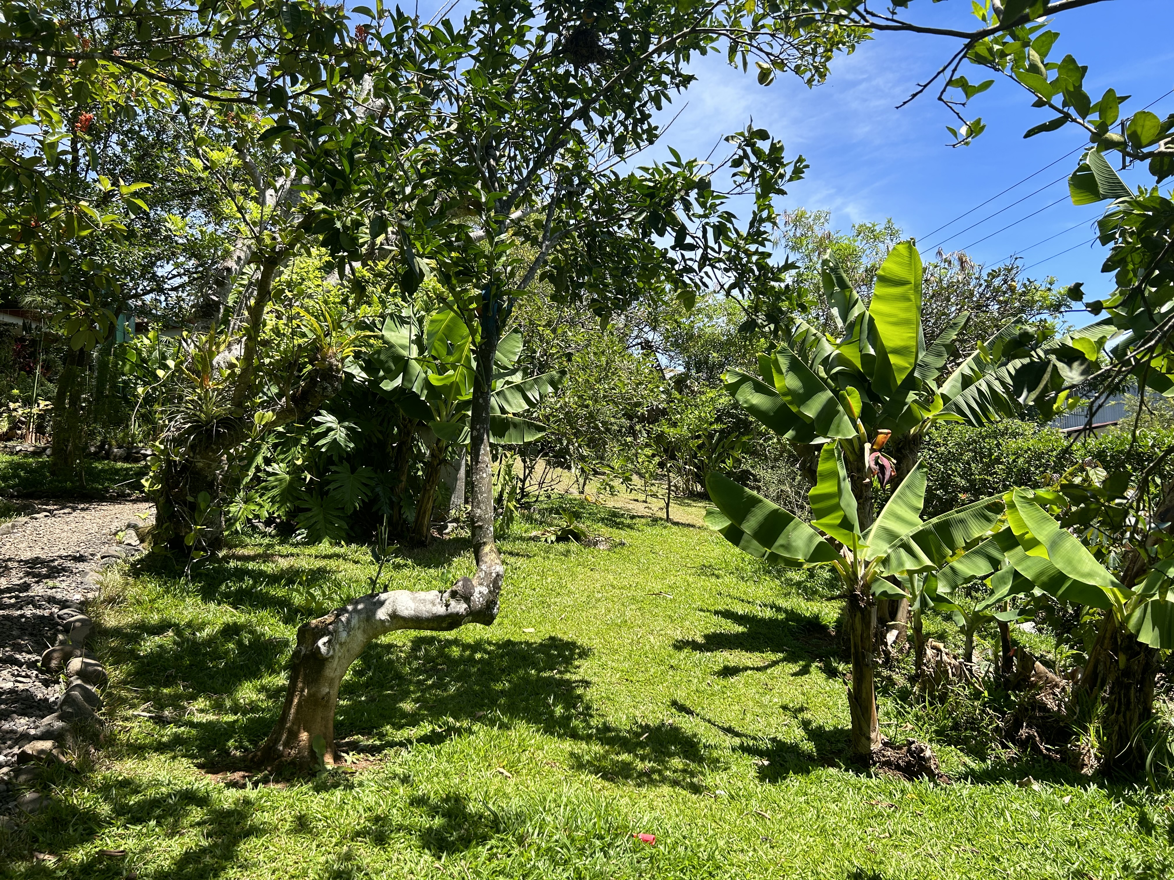 3 bed Single Family Homes For Sale in Alajuela, Alajuela - thumb 22