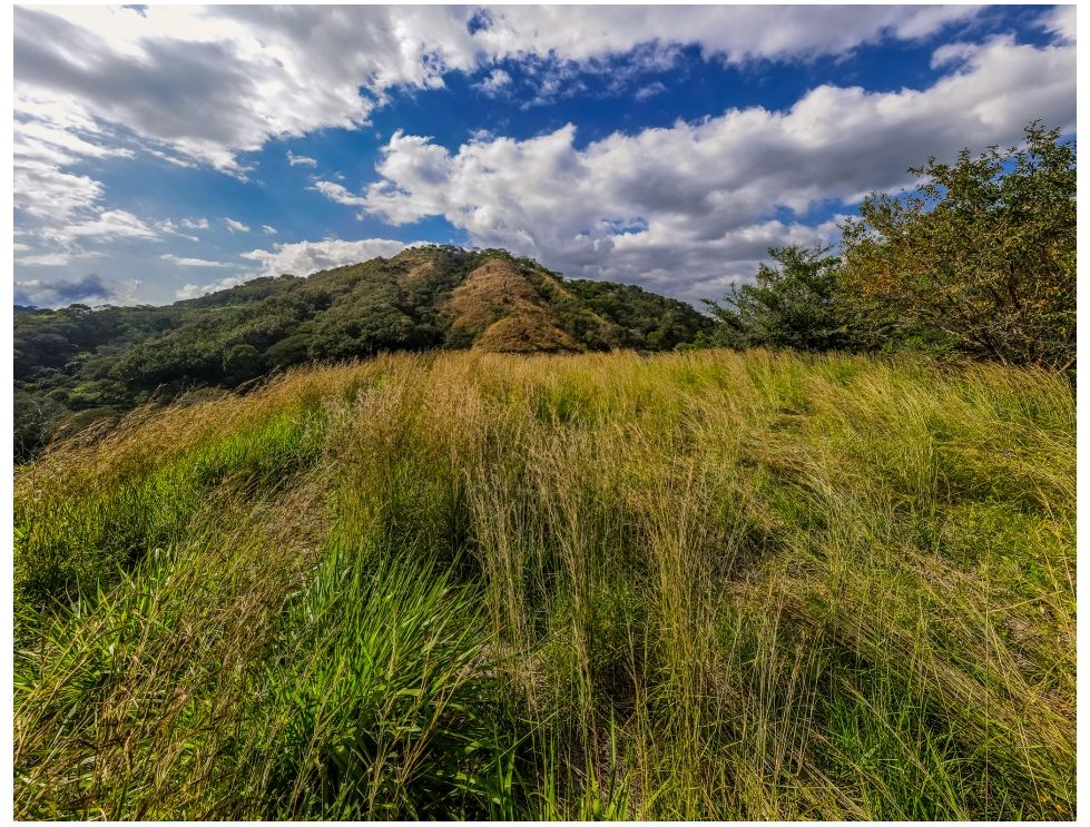 0 bed Land For Sale in Atenas, Alajuela - thumb 5