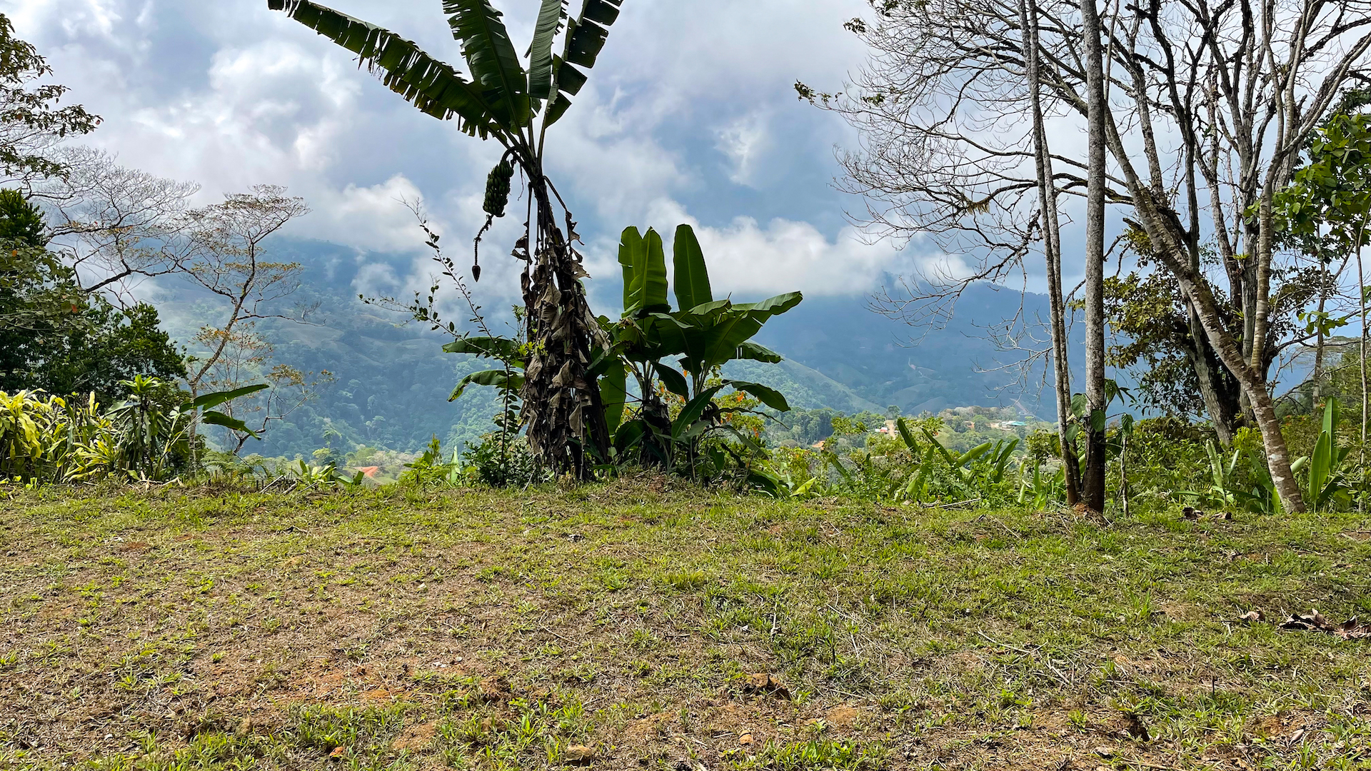 0 bed Land For Sale in Uvita, Puntarenas - thumb 15