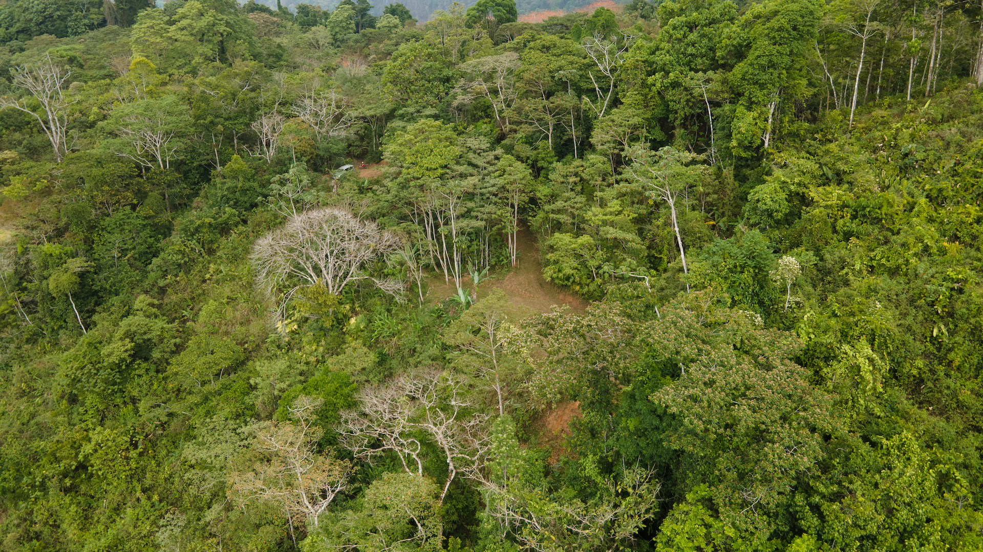 0 bed Land For Sale in Uvita, Puntarenas - thumb 6