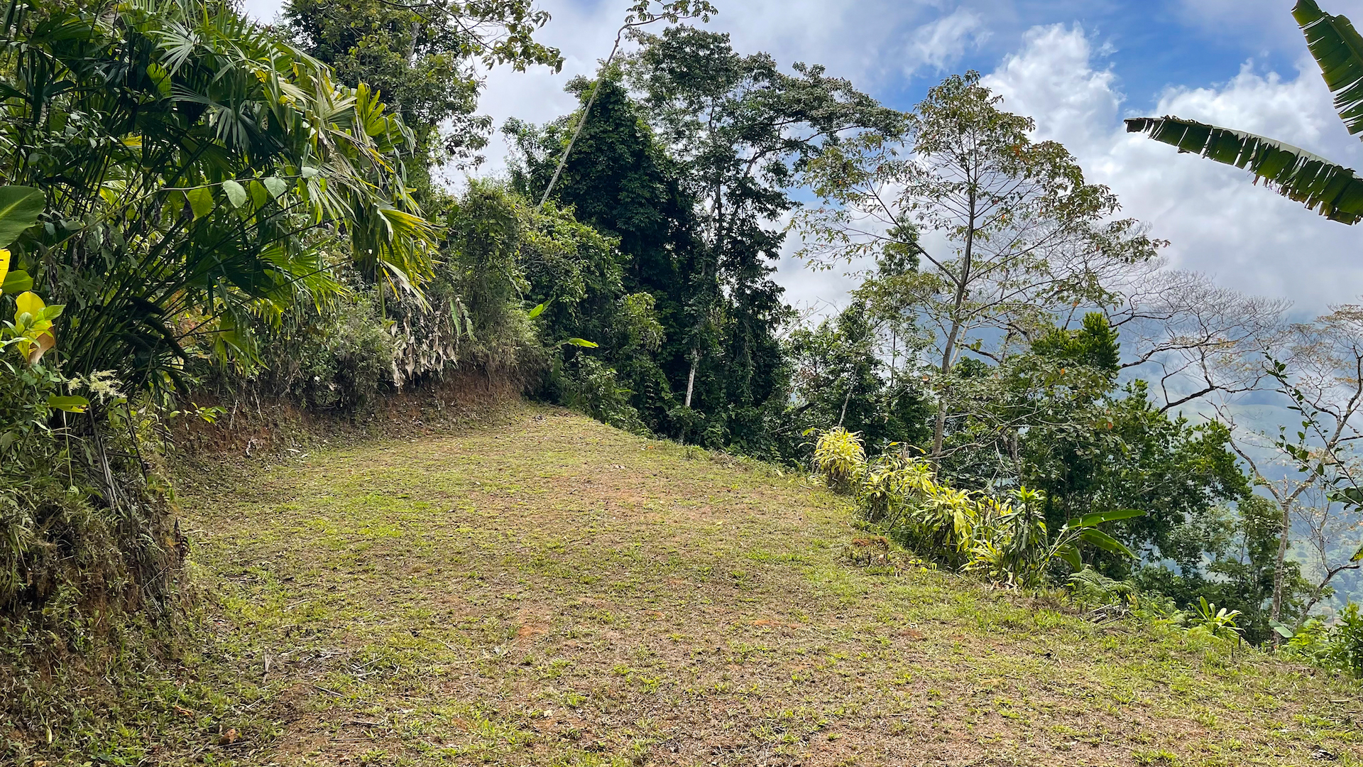 0 bed Land For Sale in Uvita, Puntarenas - thumb 13