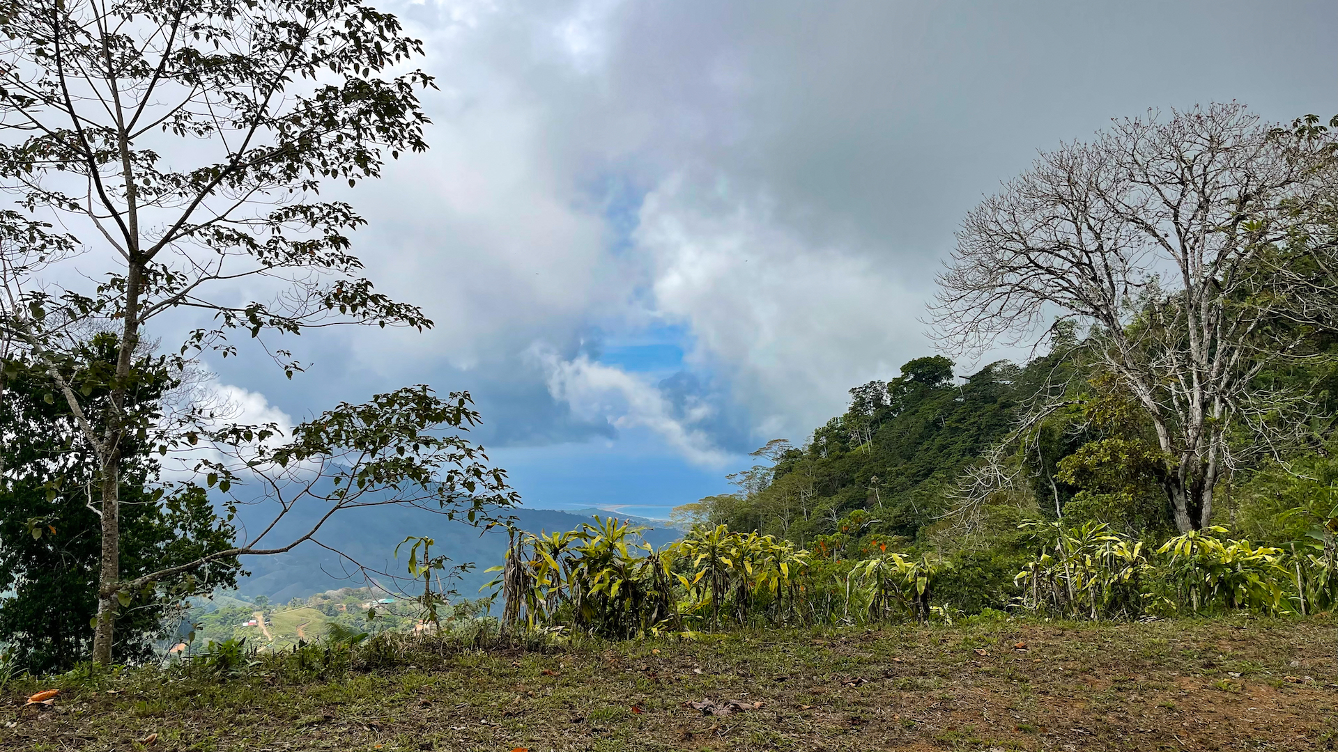 0 bed Land For Sale in Uvita, Puntarenas - thumb 3