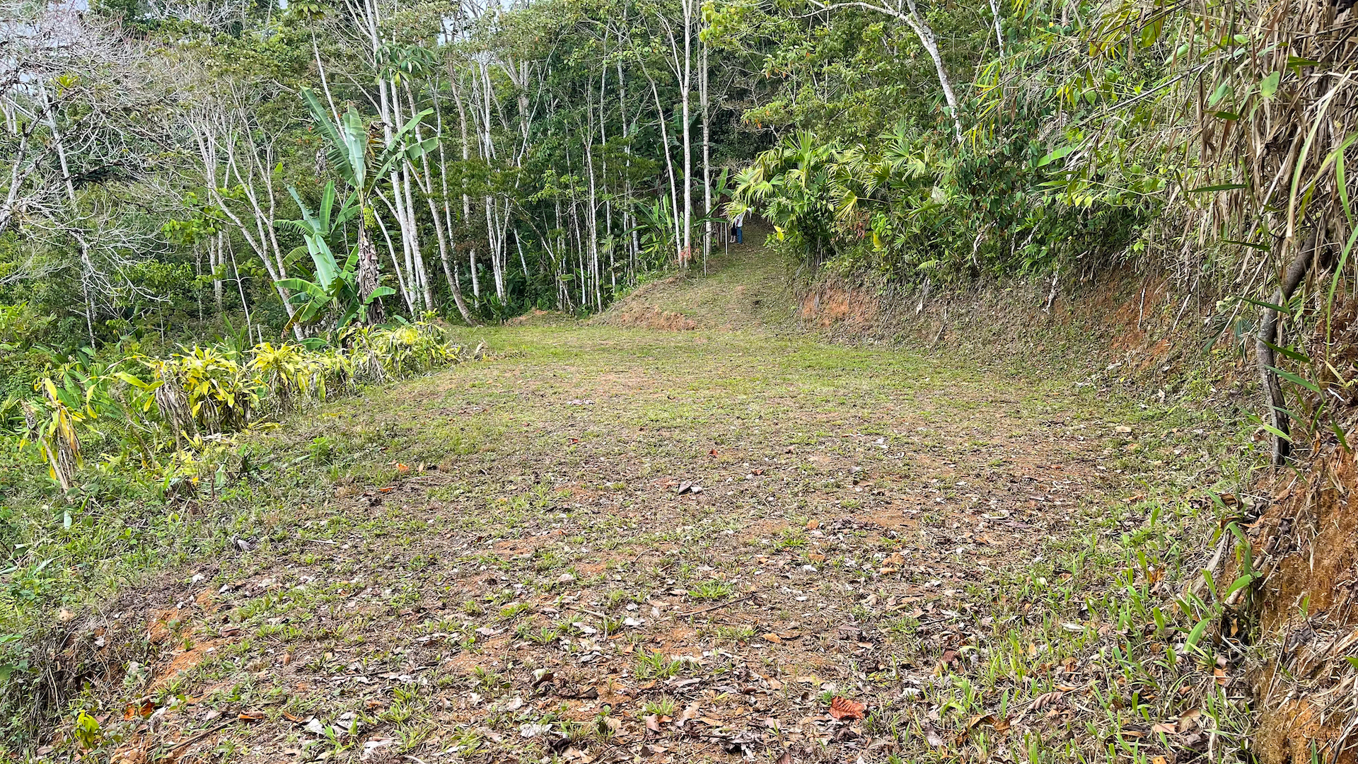 0 bed Land For Sale in Uvita, Puntarenas - thumb 14