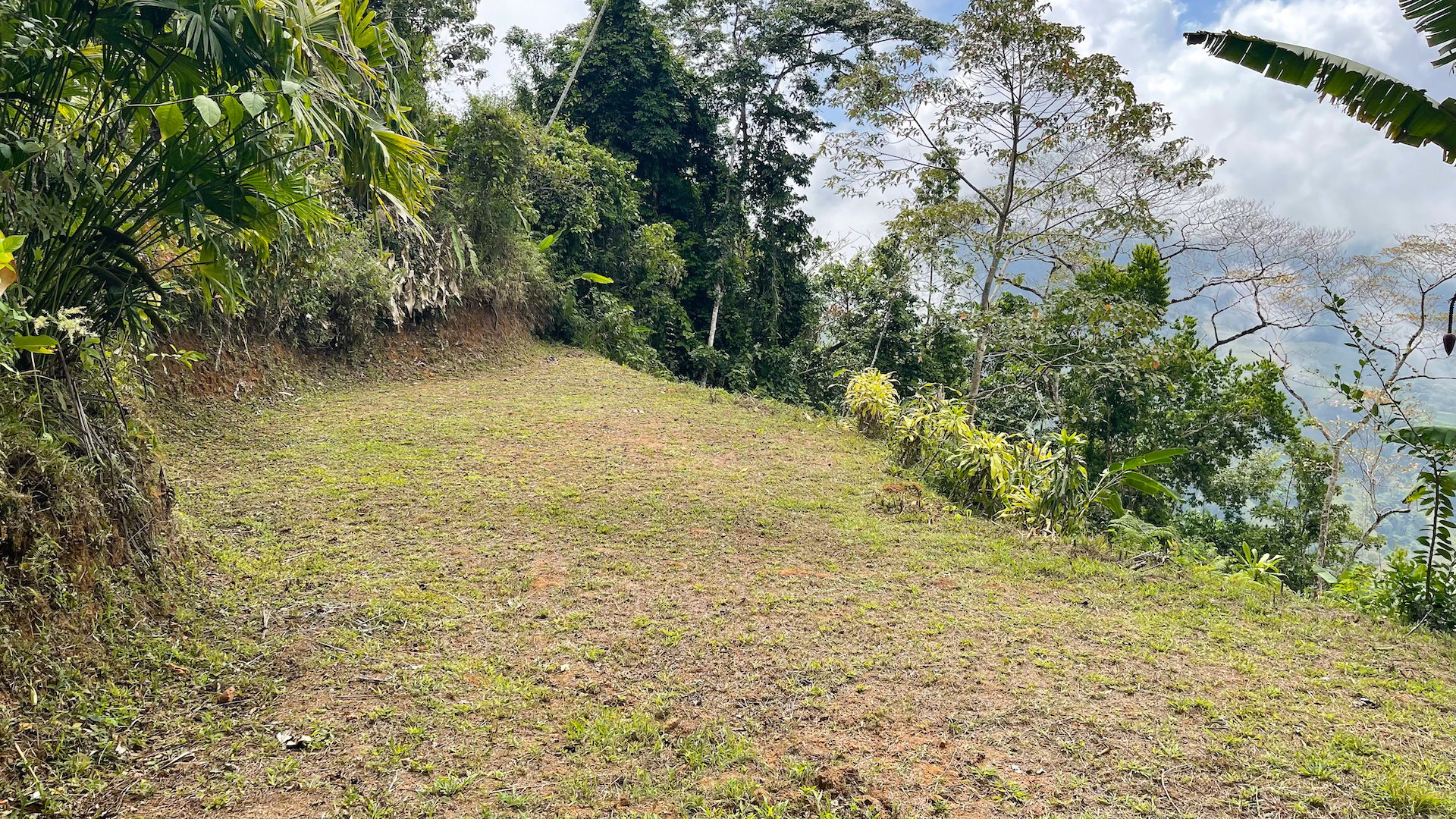 0 bed Land For Sale in Uvita, Puntarenas - thumb 12