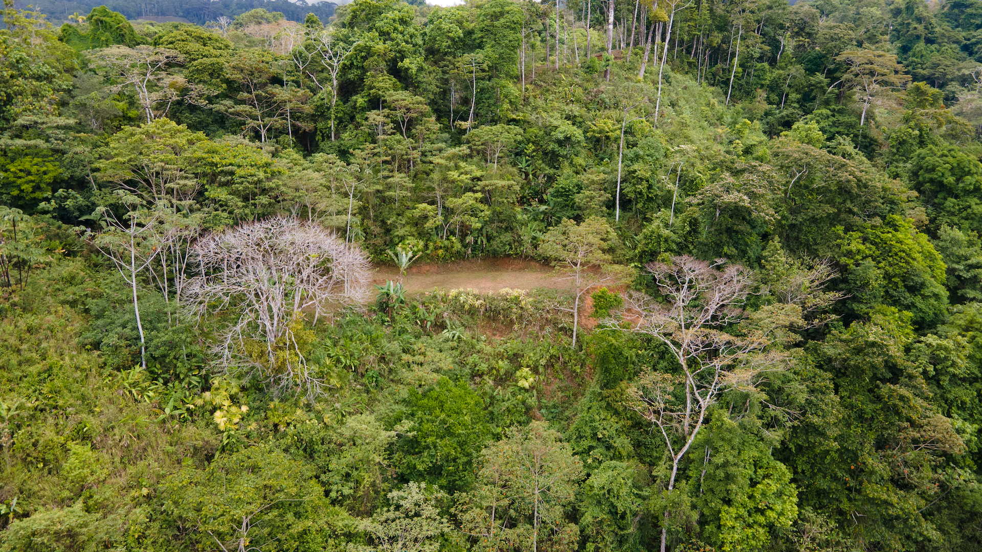 0 bed Land For Sale in Uvita, Puntarenas - thumb 10