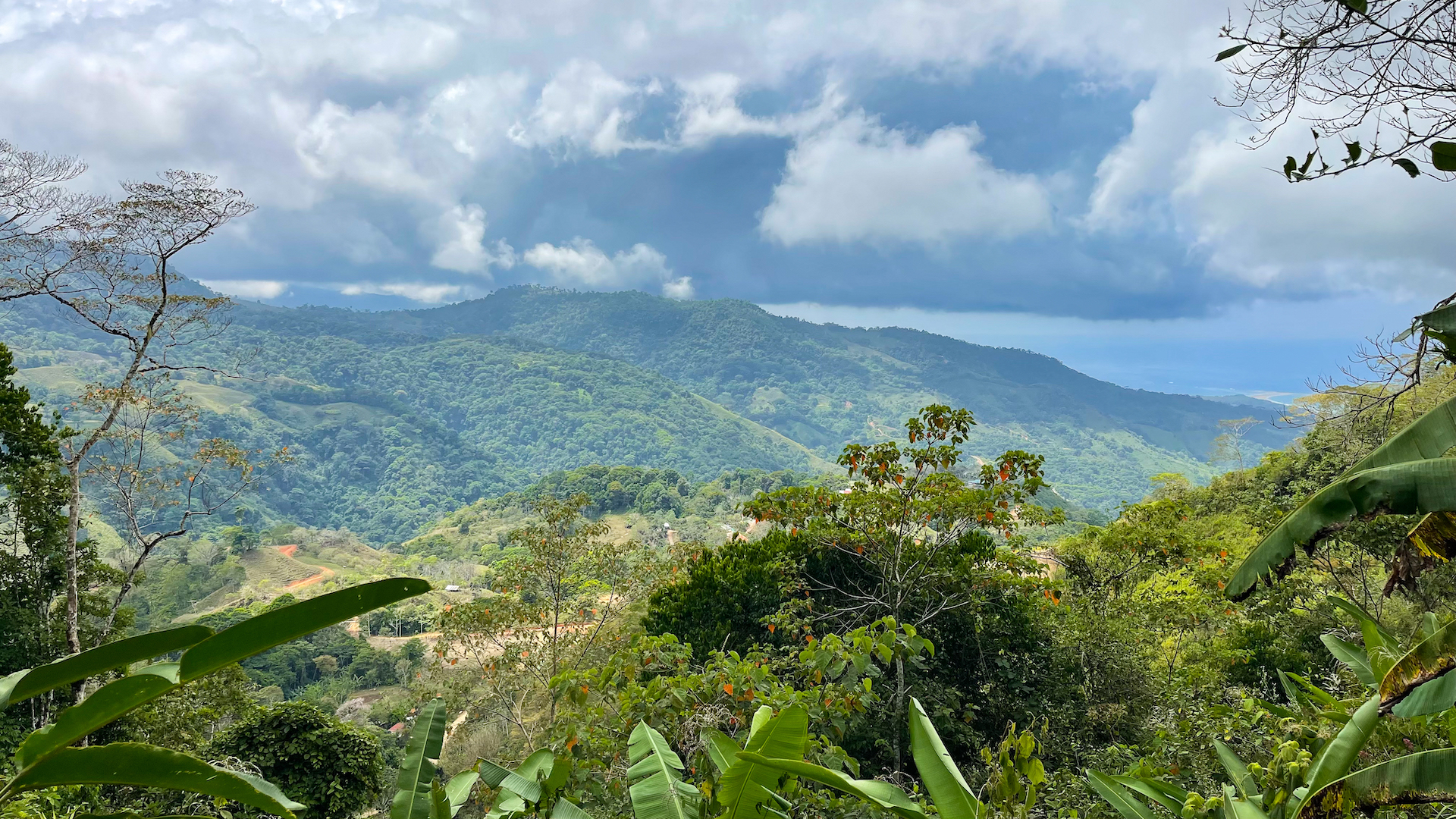 0 bed Land For Sale in Uvita, Puntarenas - thumb 5