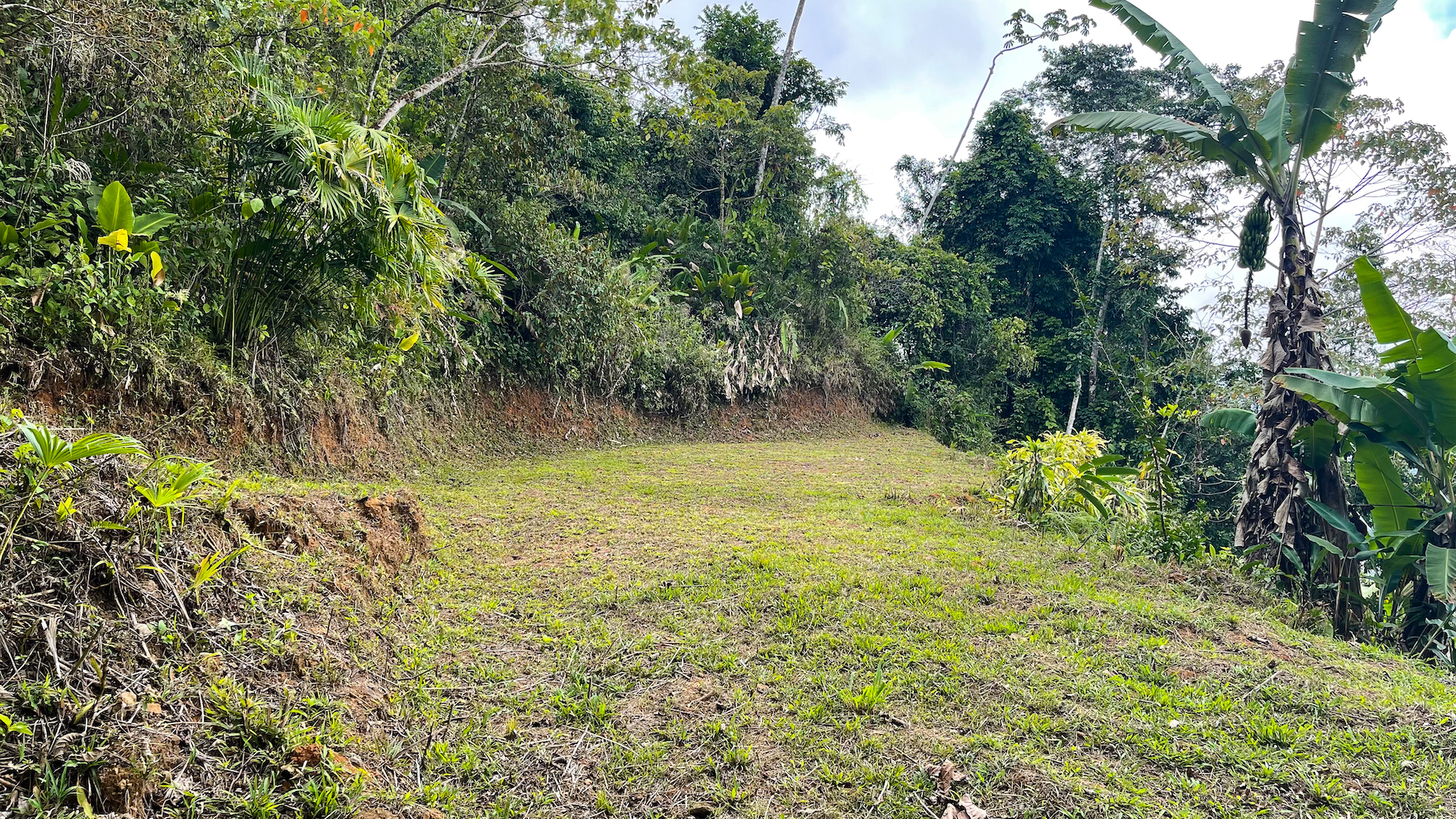 0 bed Land For Sale in Uvita, Puntarenas - thumb 11