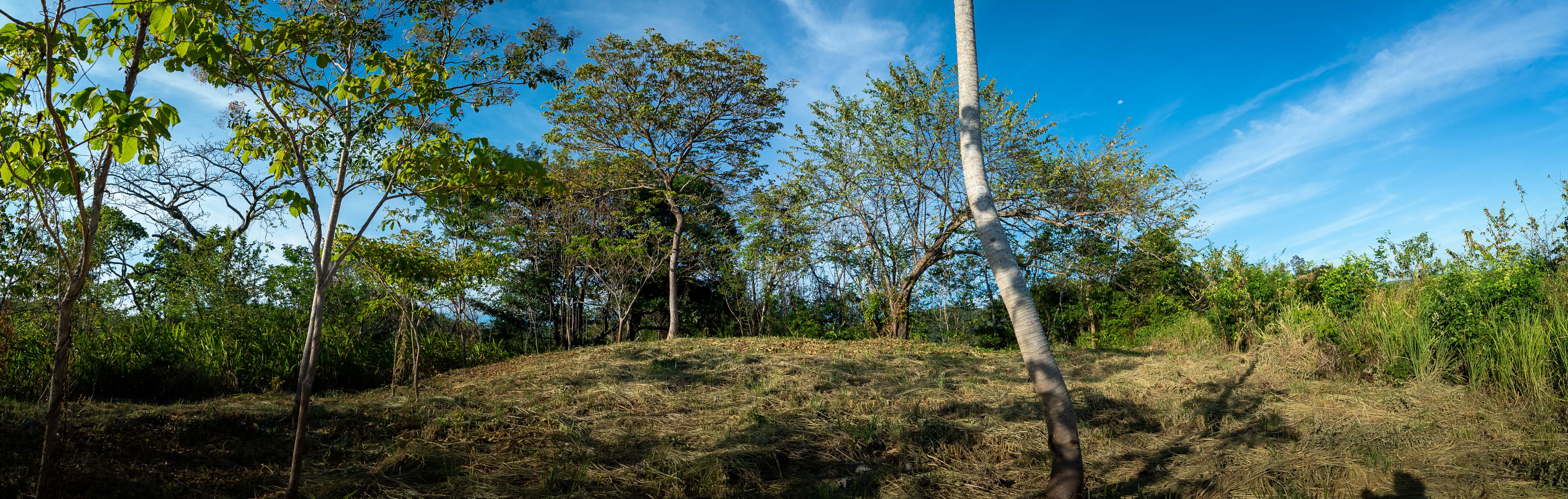 0 bed Land For Sale in Nosara, Guanacaste - thumb 7