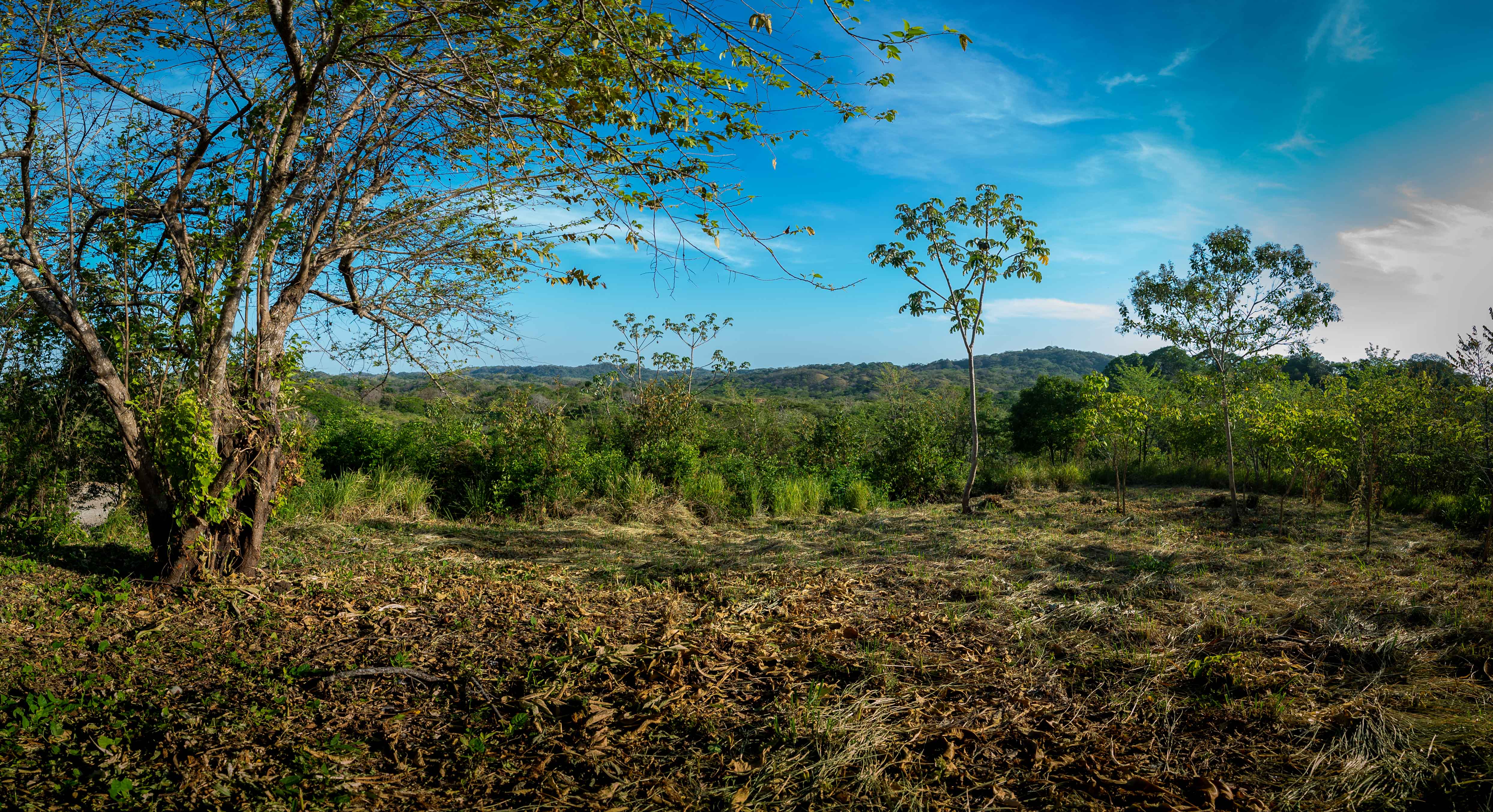 0 bed Land For Sale in Nosara, Guanacaste - thumb 8