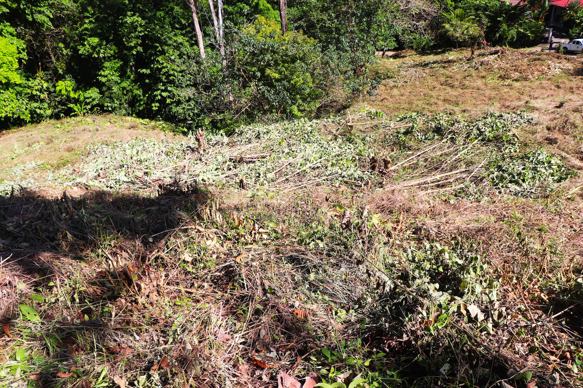 0 bed Single Family Homes For Sale in Ojochal, Puntarenas - thumb 14