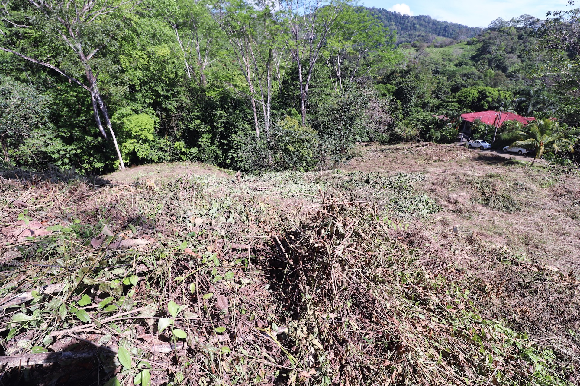 0 bed Single Family Homes For Sale in Ojochal, Puntarenas - thumb 9