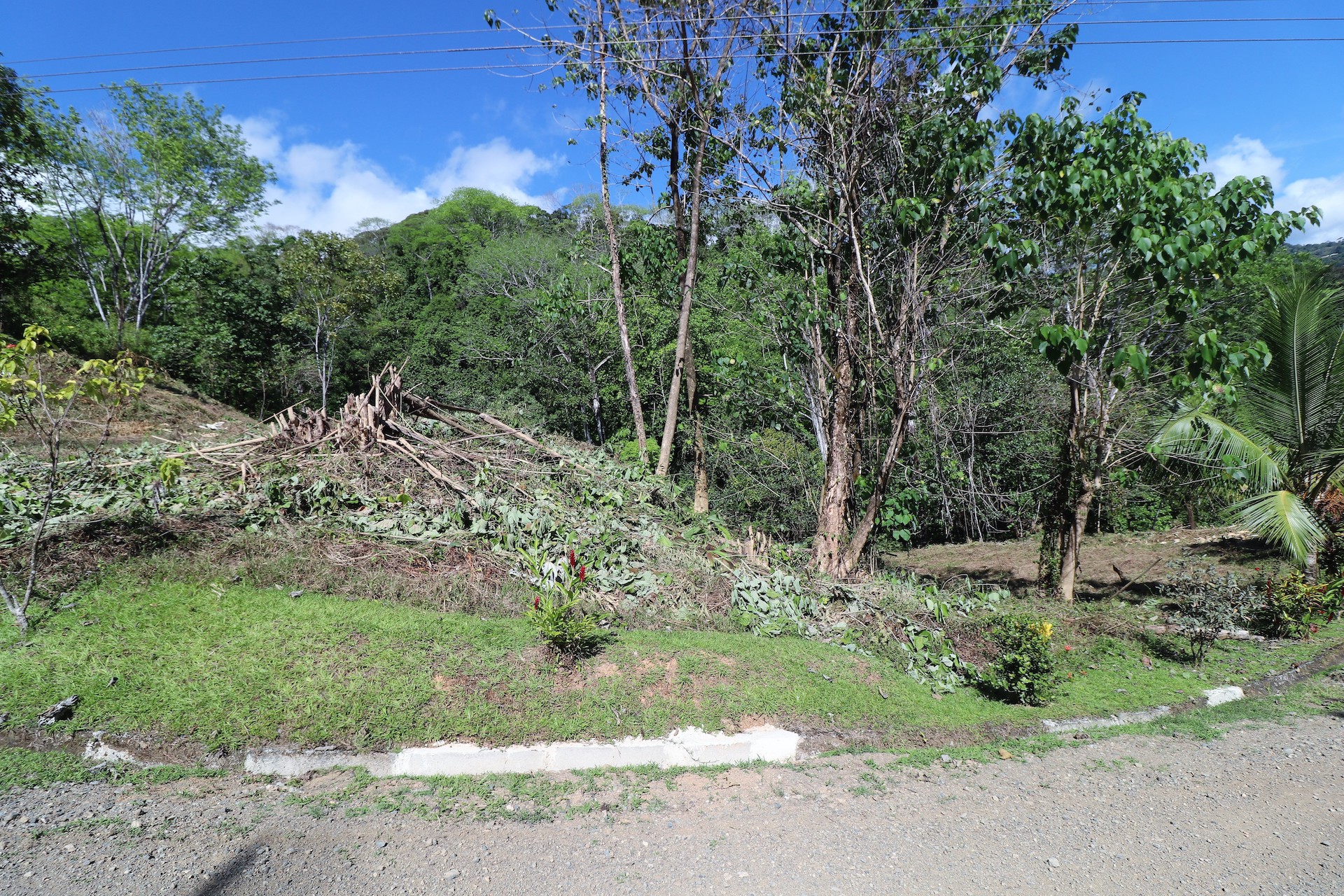 0 bed Single Family Homes For Sale in Ojochal, Puntarenas - thumb 12