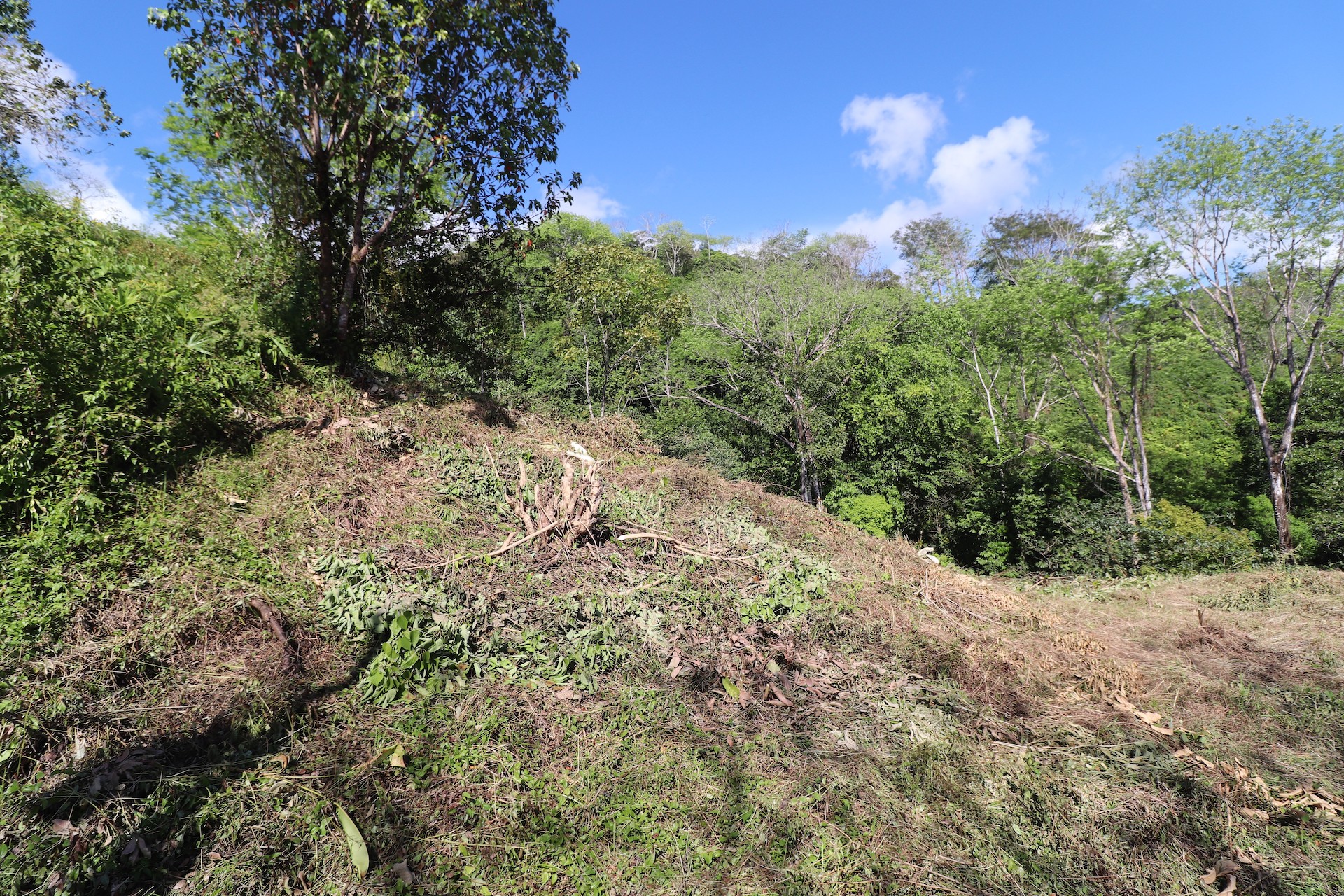 0 bed Single Family Homes For Sale in Ojochal, Puntarenas - thumb 7