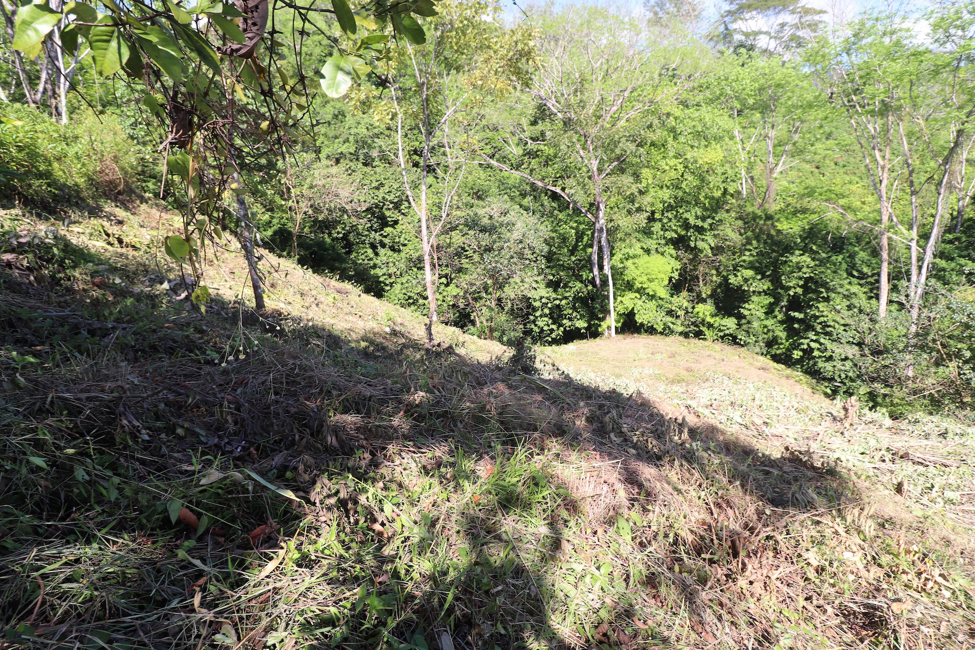 0 bed Single Family Homes For Sale in Ojochal, Puntarenas - thumb 10