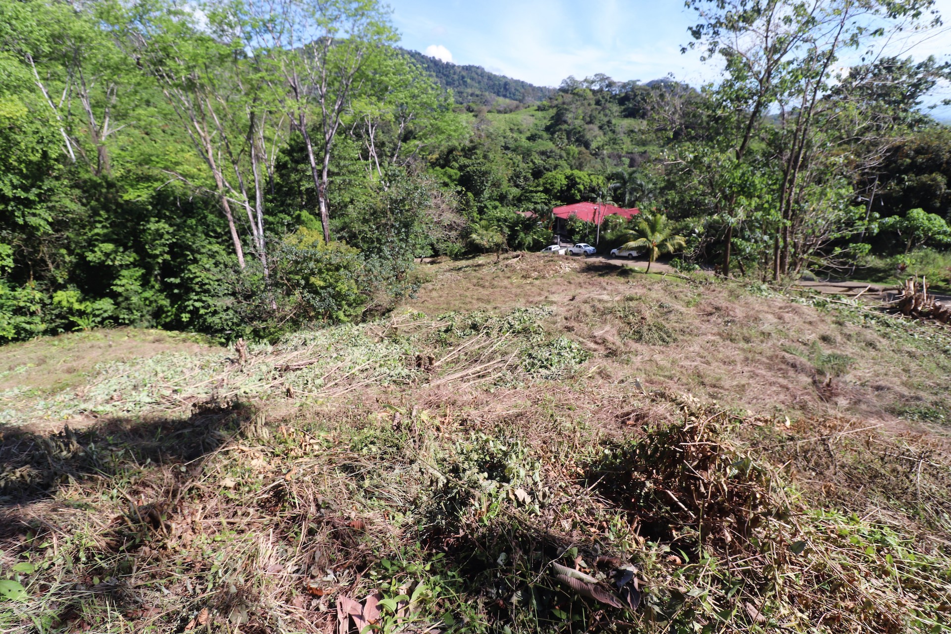 0 bed Single Family Homes For Sale in Ojochal, Puntarenas - thumb 11