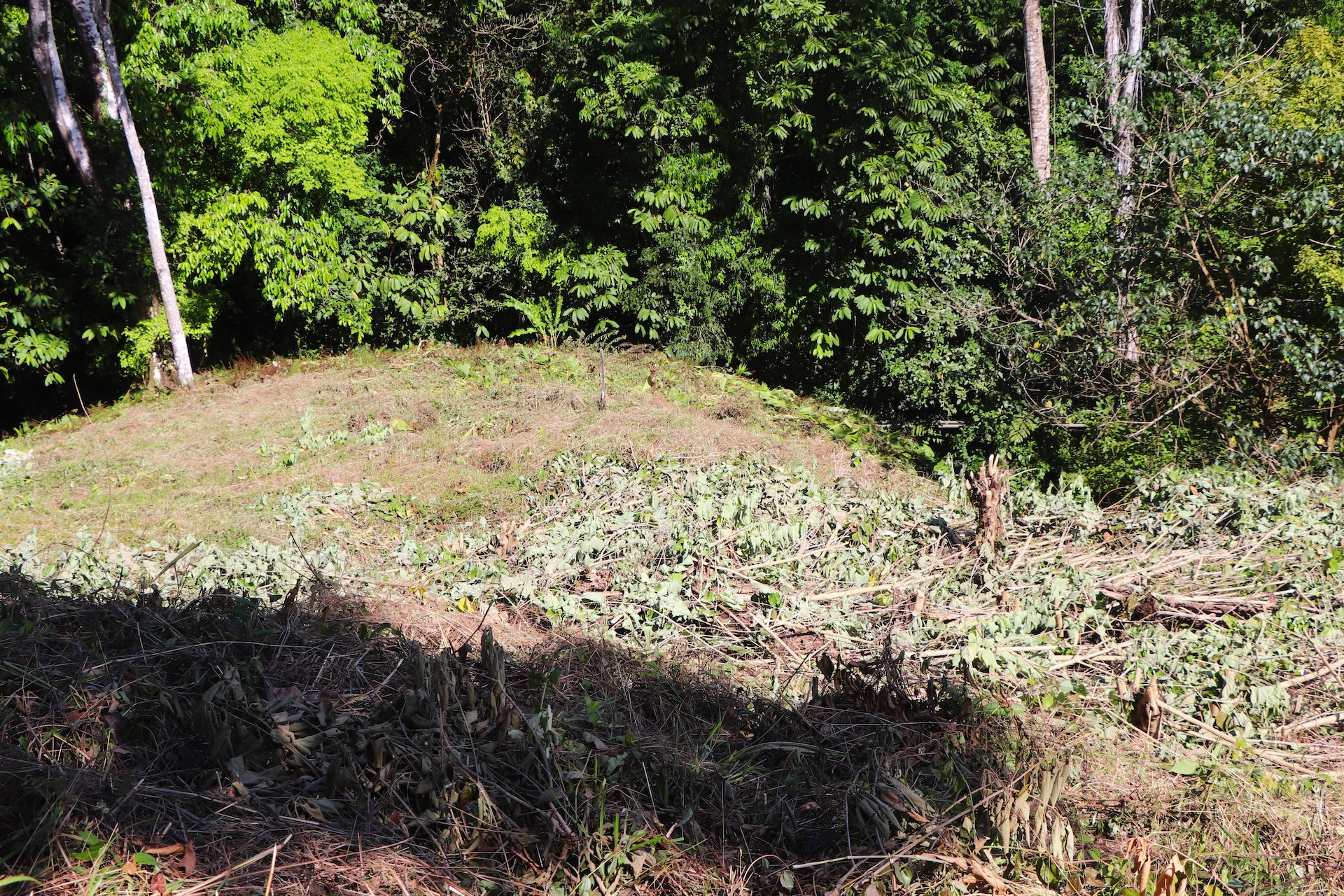 0 bed Single Family Homes For Sale in Ojochal, Puntarenas - thumb 13