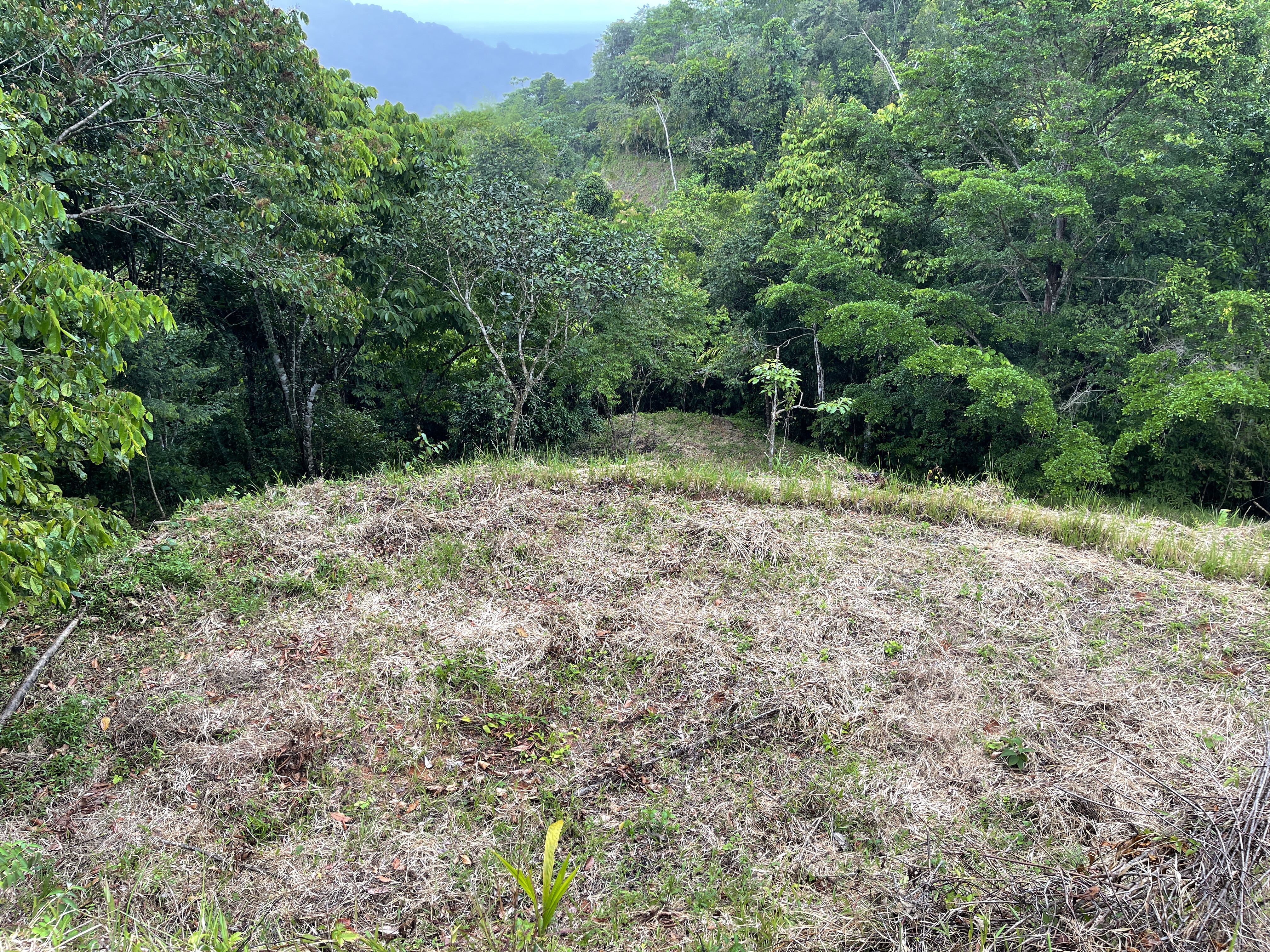 0 bed Land For Sale in Dominical, Puntarenas - thumb 3