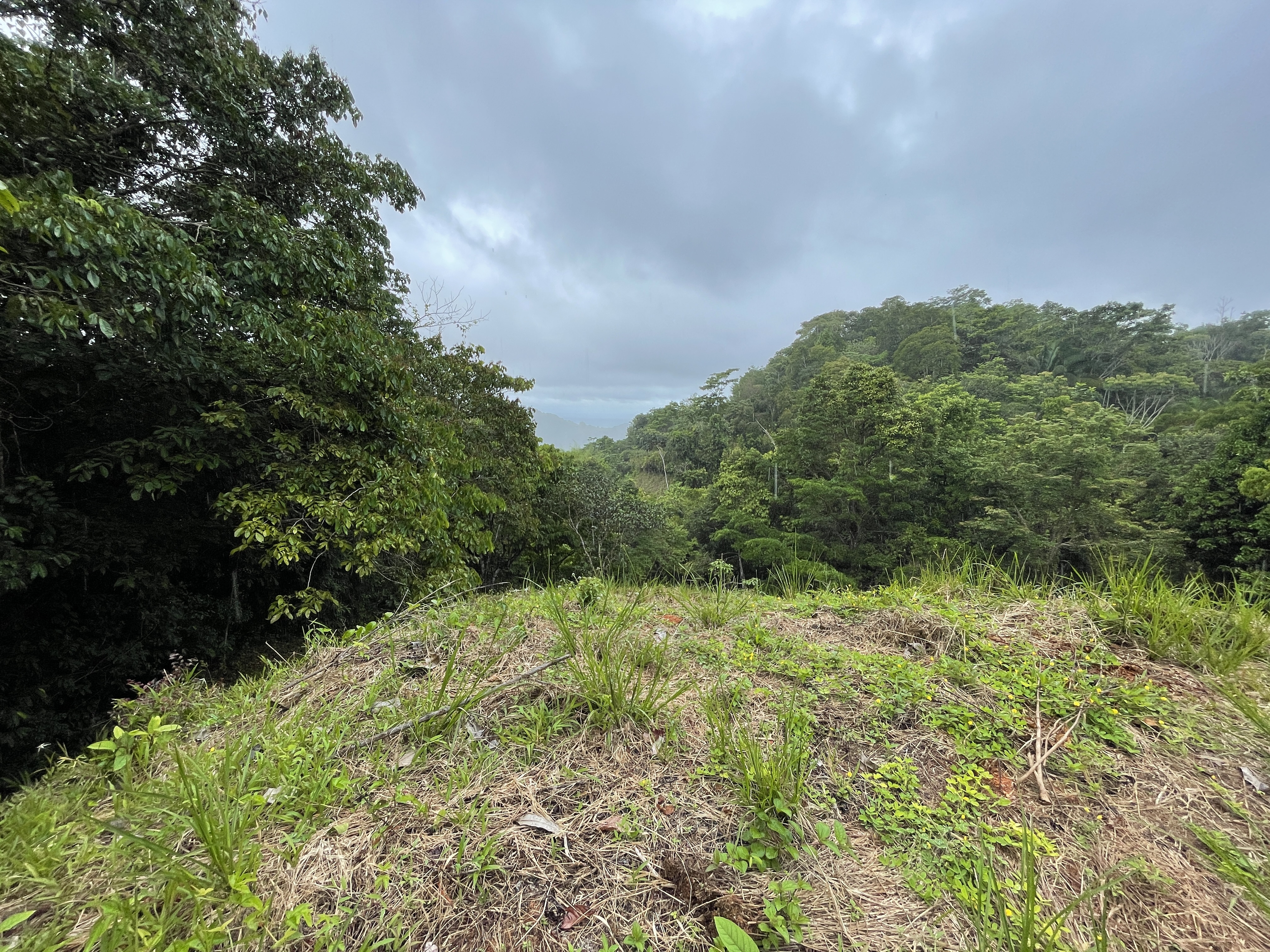 0 bed Land For Sale in Dominical, Puntarenas - thumb 9