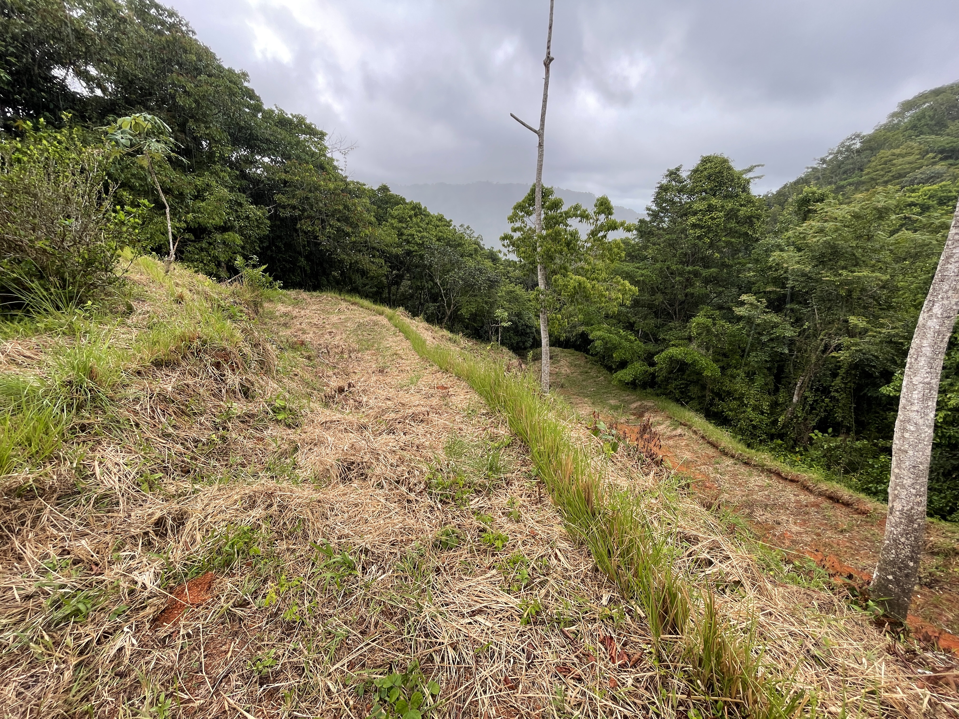 0 bed Land For Sale in Dominical, Puntarenas - thumb 8