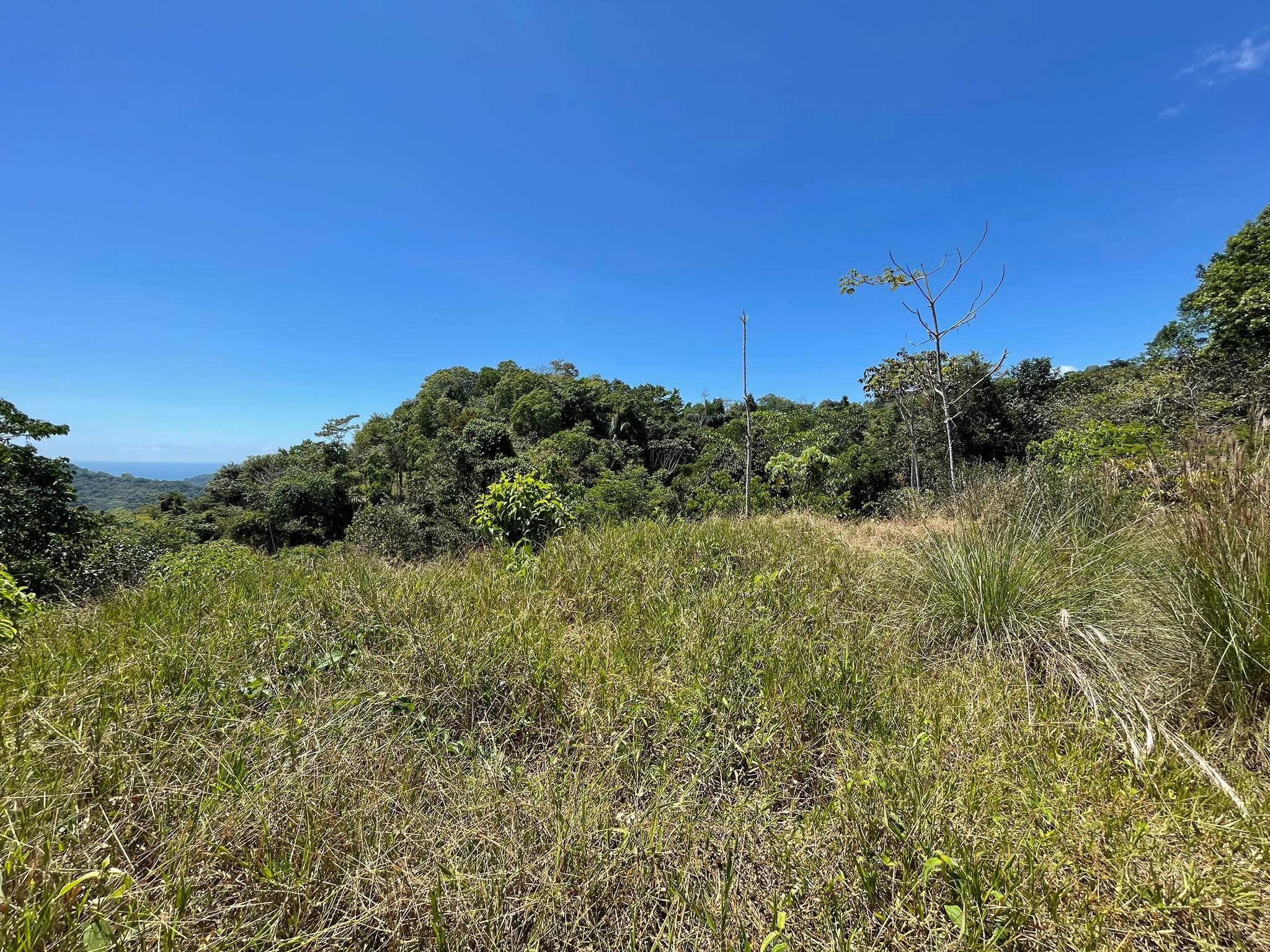 0 bed Land For Sale in Dominical, Puntarenas - thumb 5