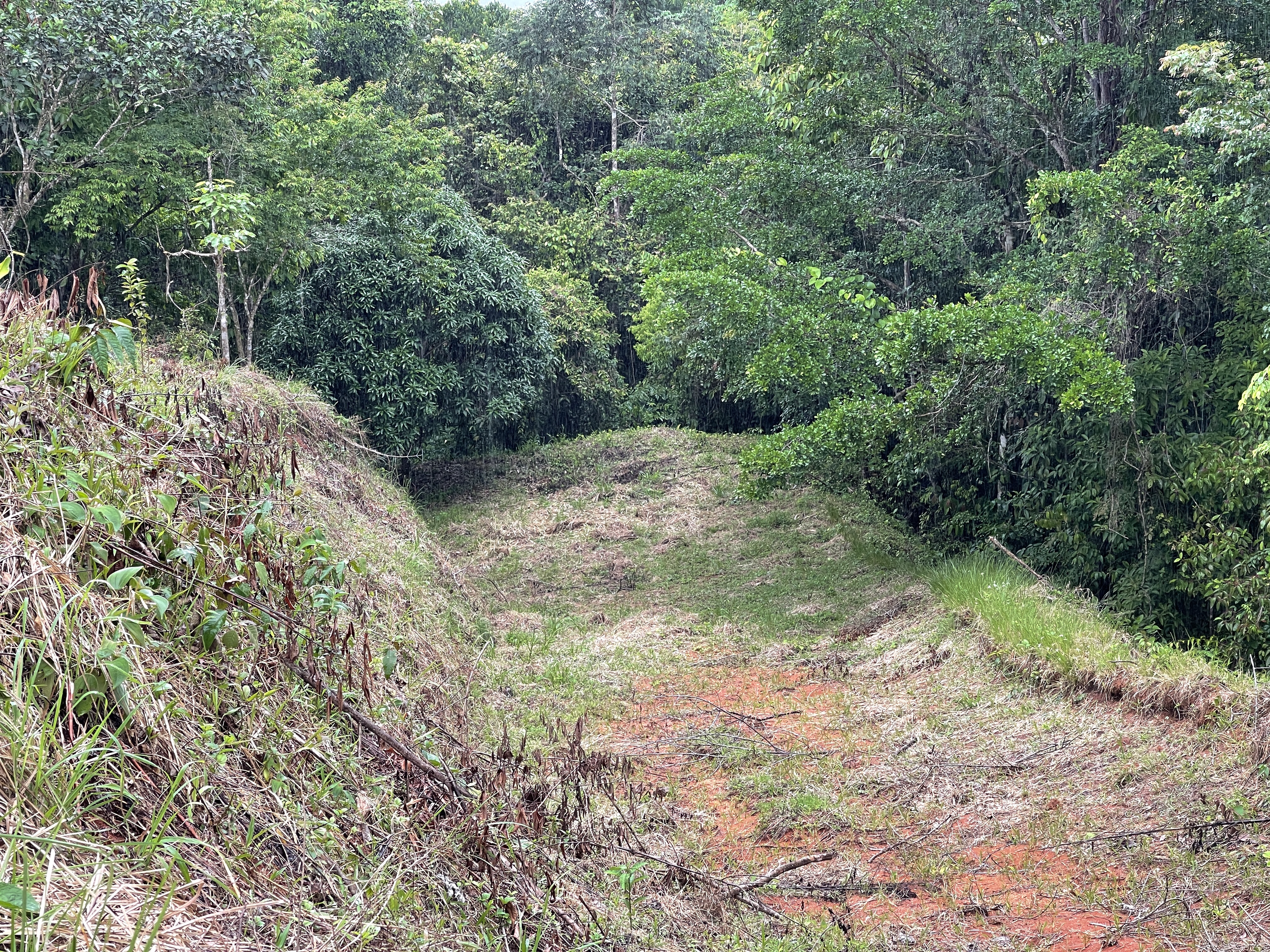 0 bed Land For Sale in Dominical, Puntarenas - thumb 10