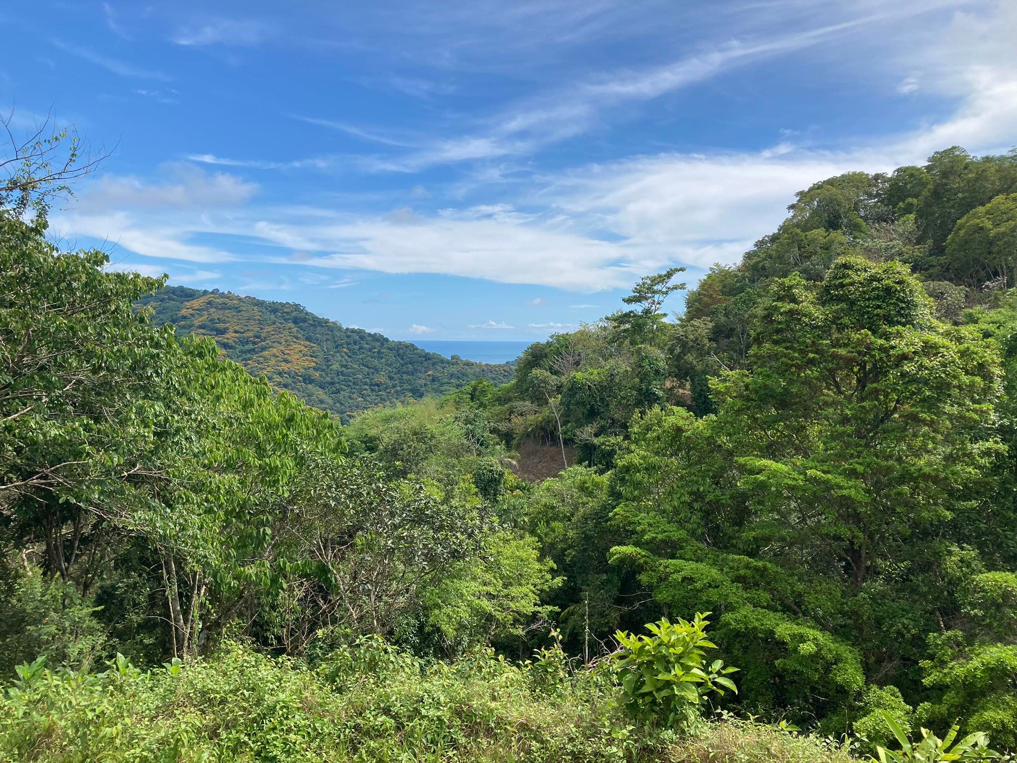 0 bed Land For Sale in Dominical, Puntarenas - thumb 1