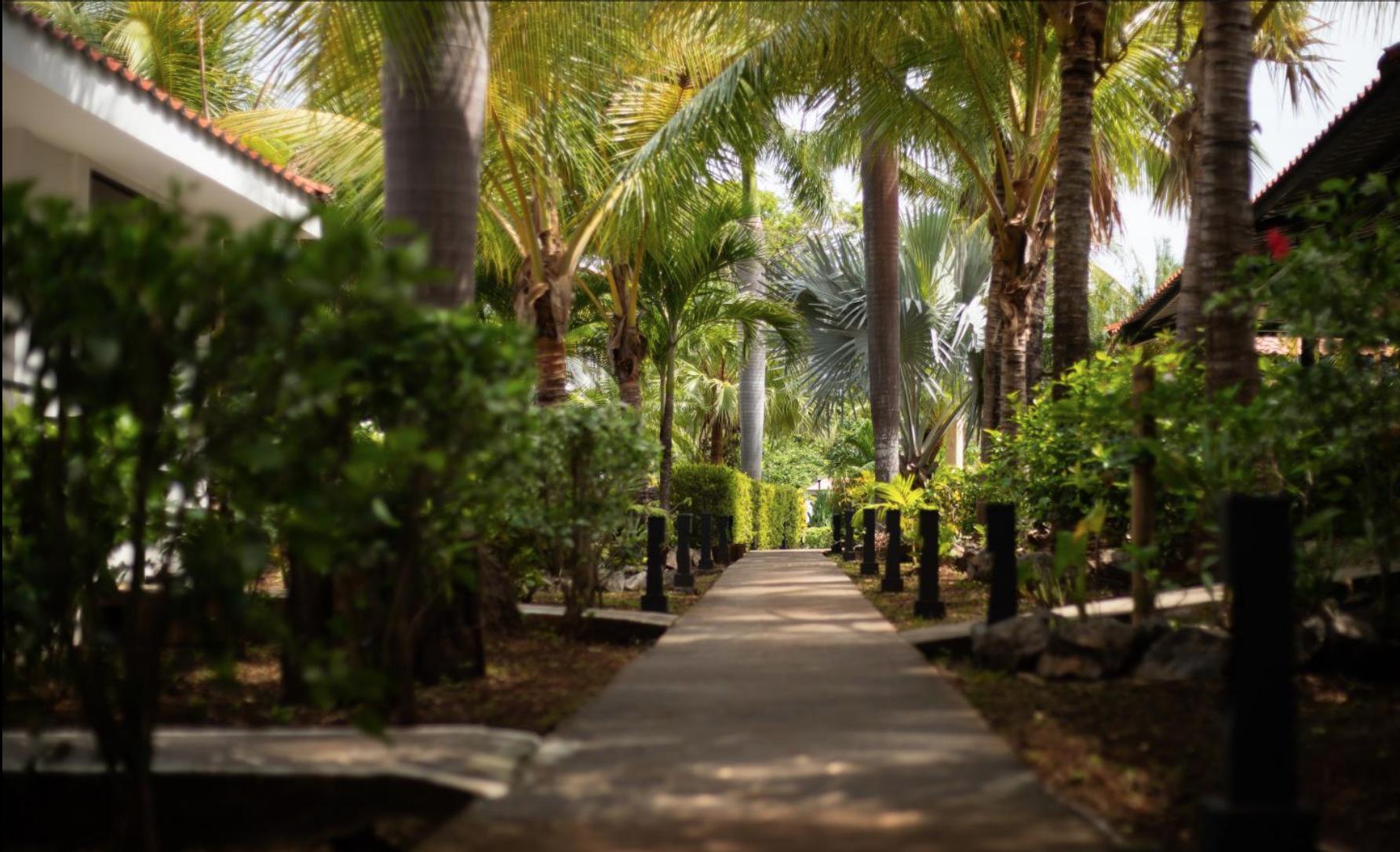 16 bed Hotel / Leisure For Sale in Avellanas, Guanacaste - thumb 1