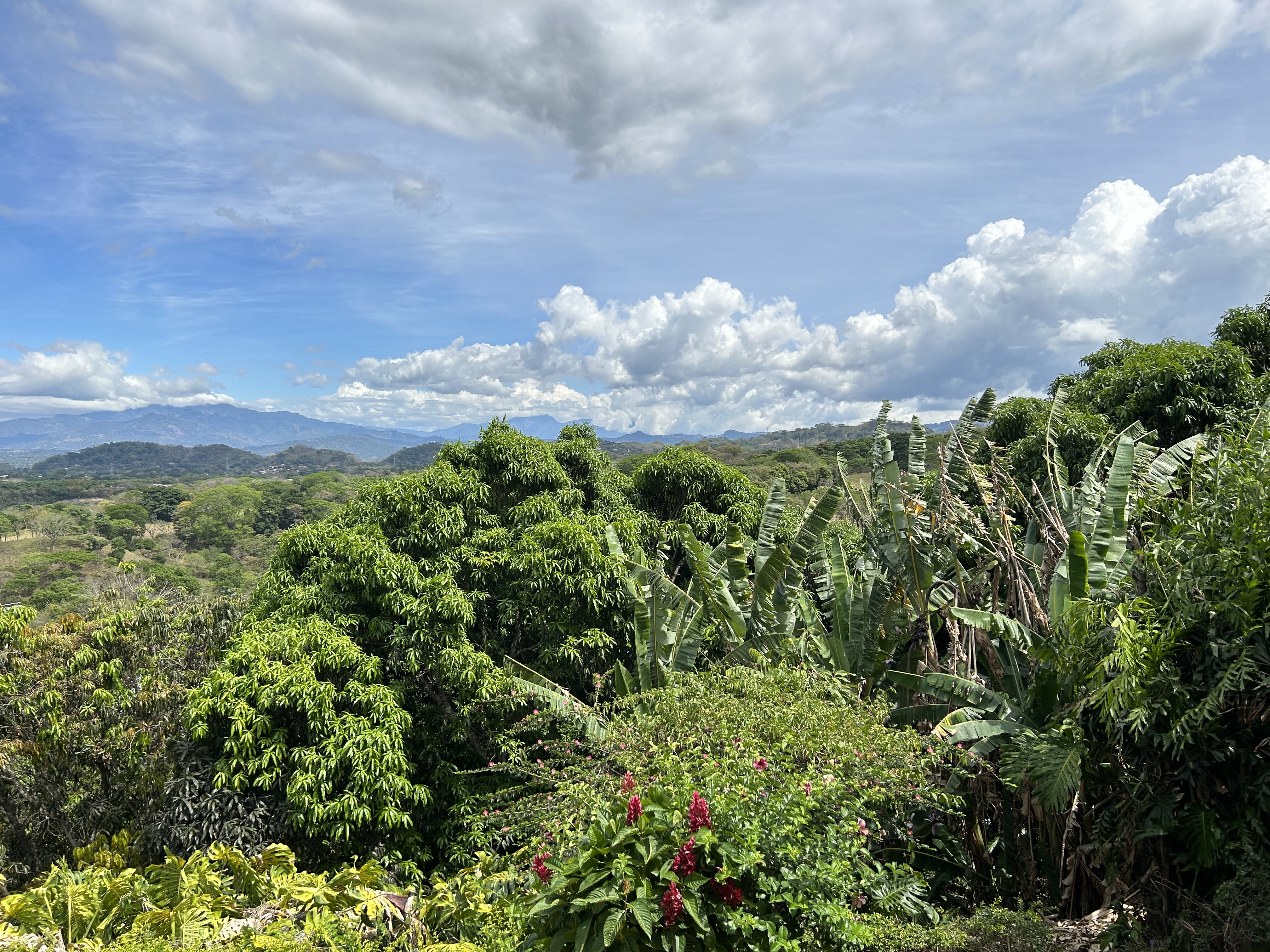 4 bed Single Family Homes For Sale in Atenas, Alajuela - thumb 5