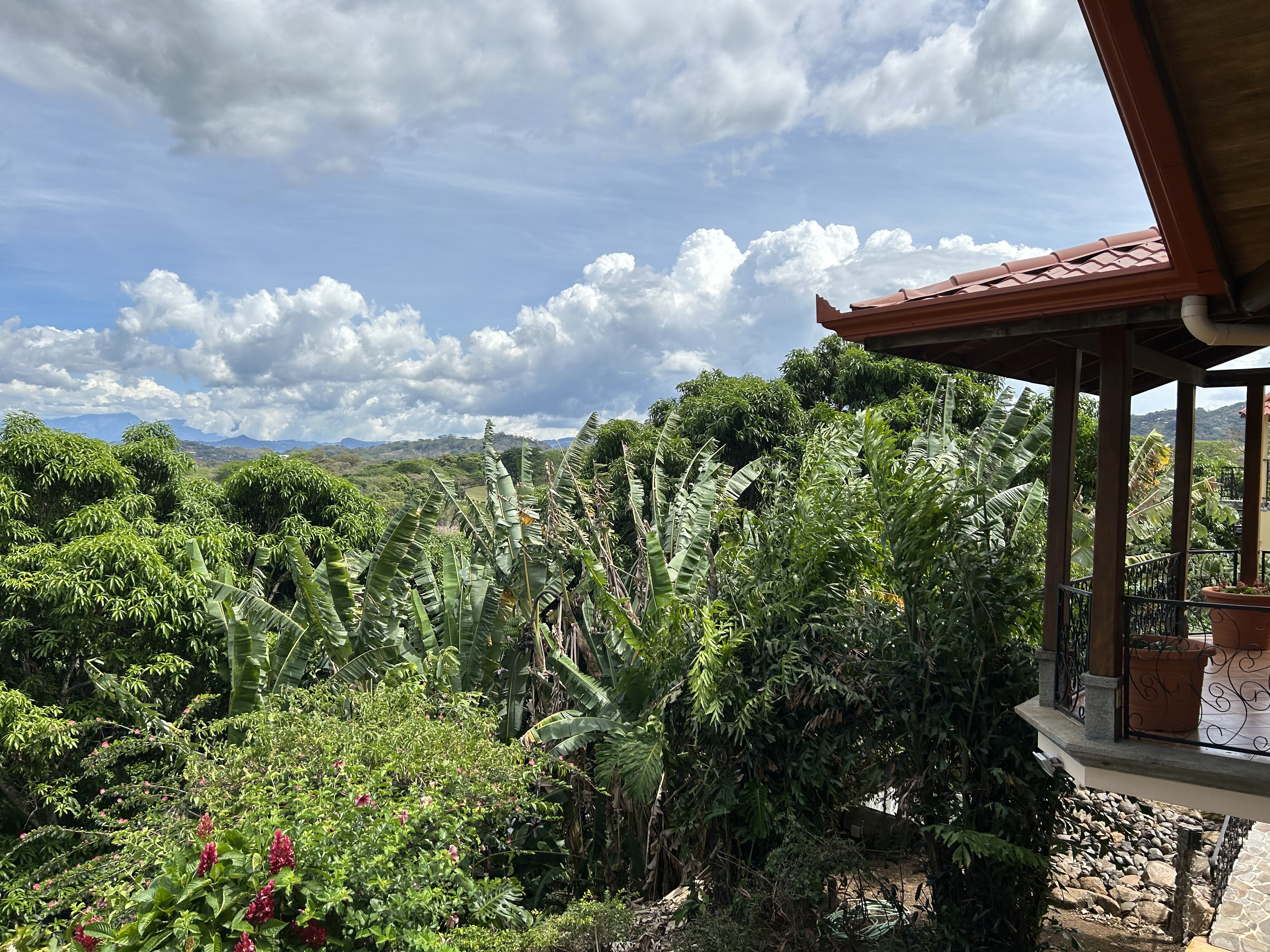 4 bed Single Family Homes For Sale in Atenas, Alajuela - thumb 6