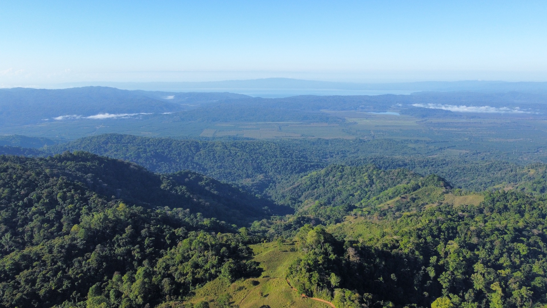 0 bed Land For Sale in Palmar, Puntarenas - thumb 7