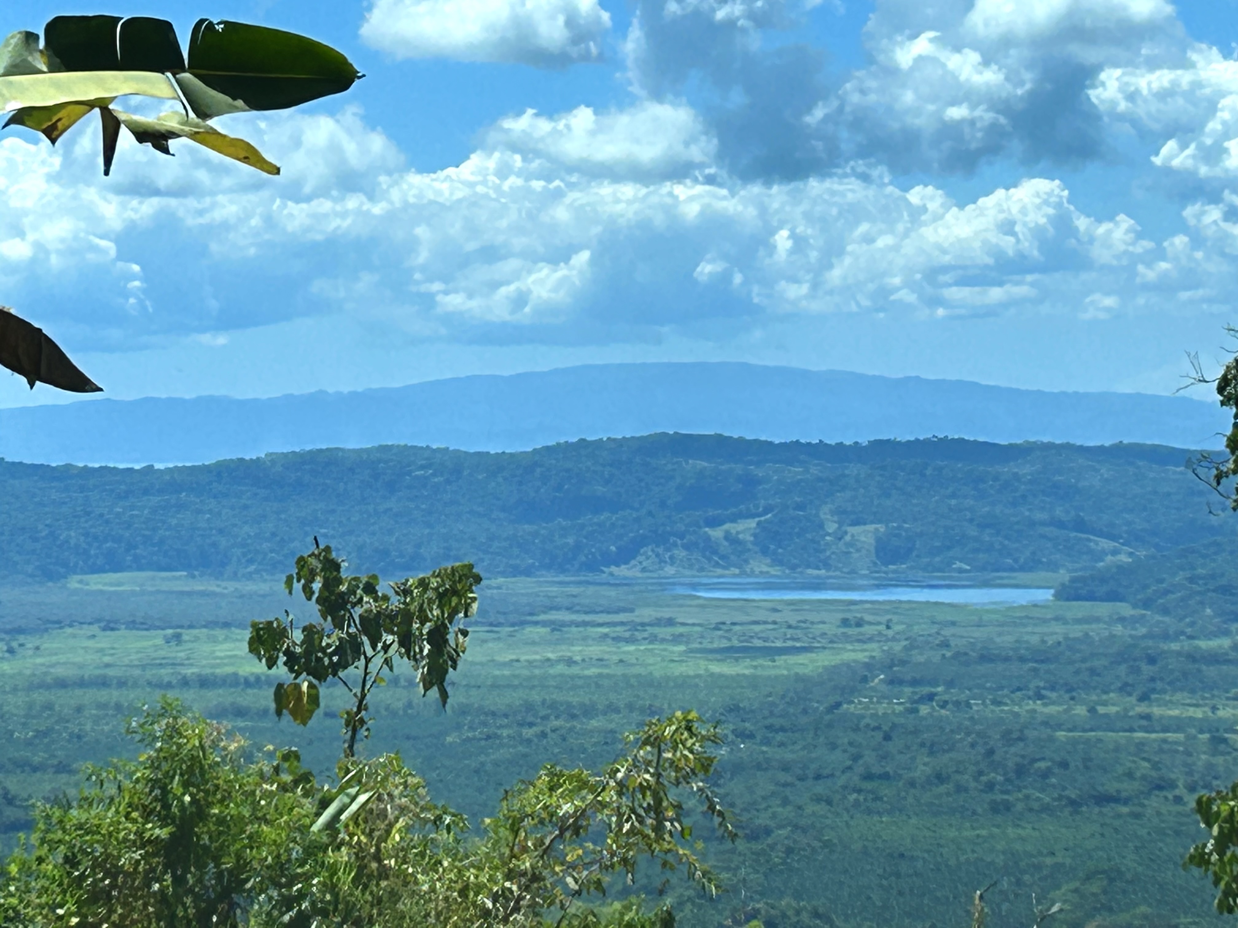 0 bed Land For Sale in Palmar, Puntarenas - thumb 14