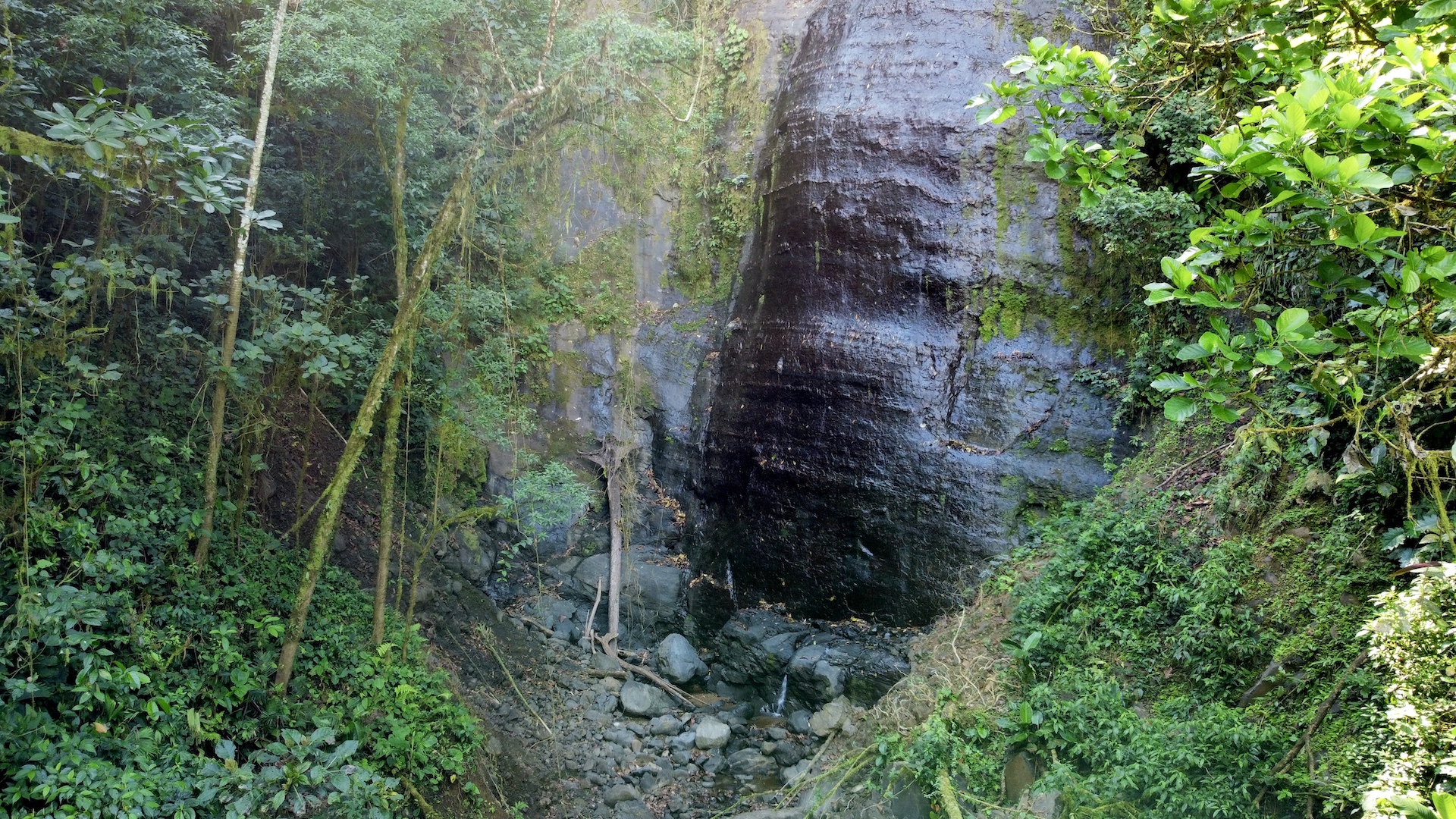 0 bed Land For Sale in Palmar, Puntarenas - thumb 23