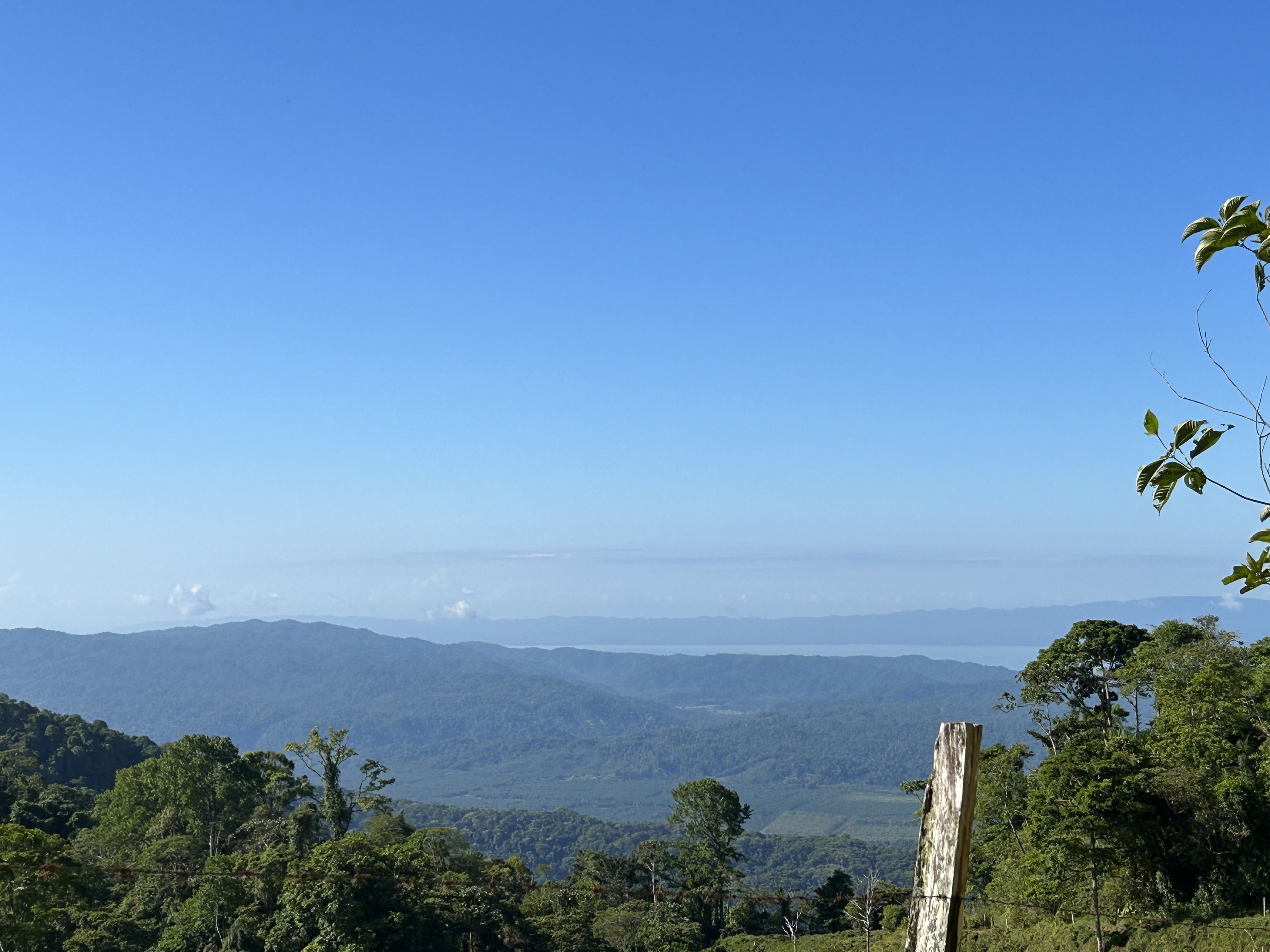 0 bed Land For Sale in Palmar, Puntarenas - thumb 12