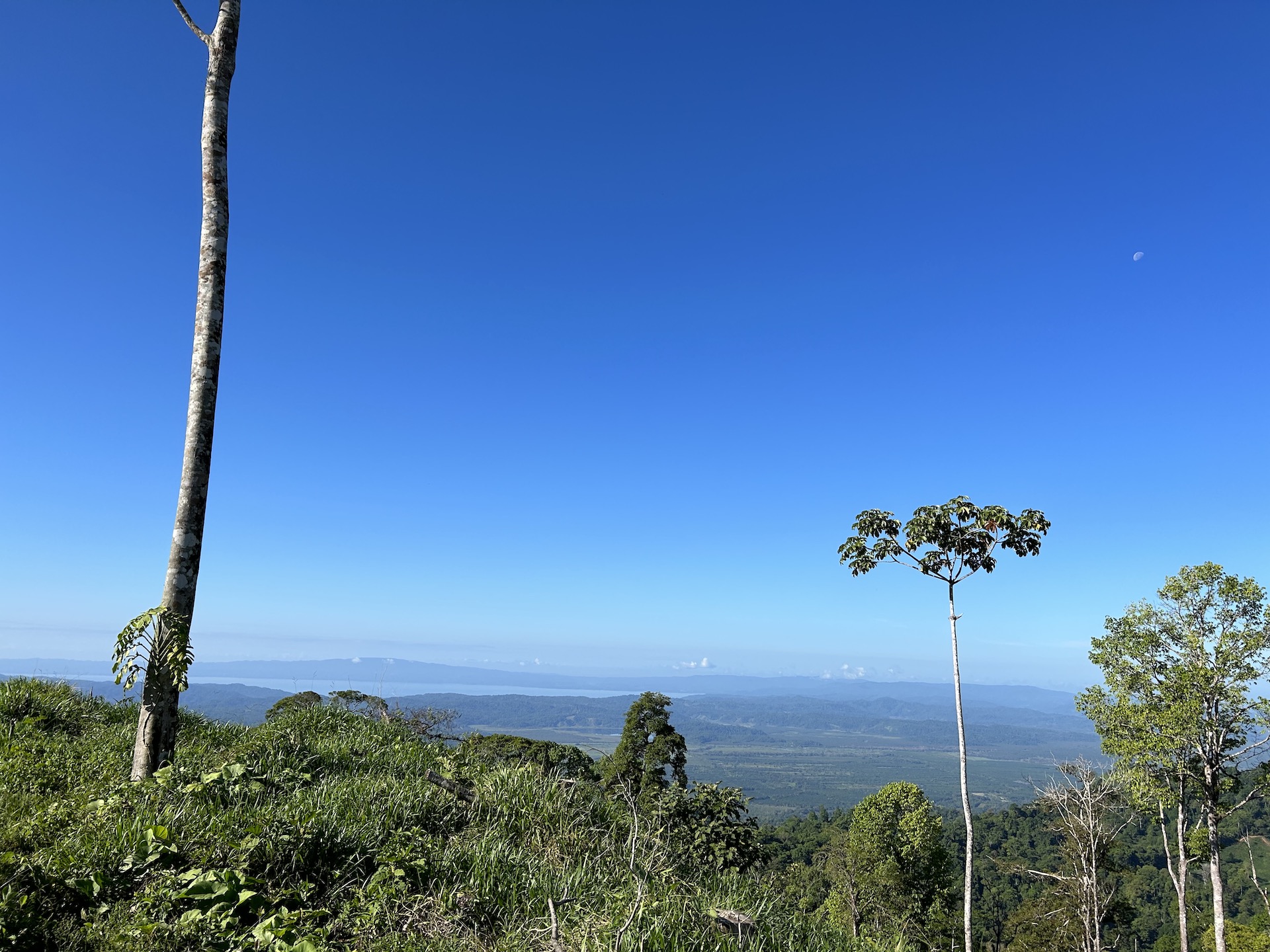 0 bed Land For Sale in Palmar, Puntarenas - thumb 11